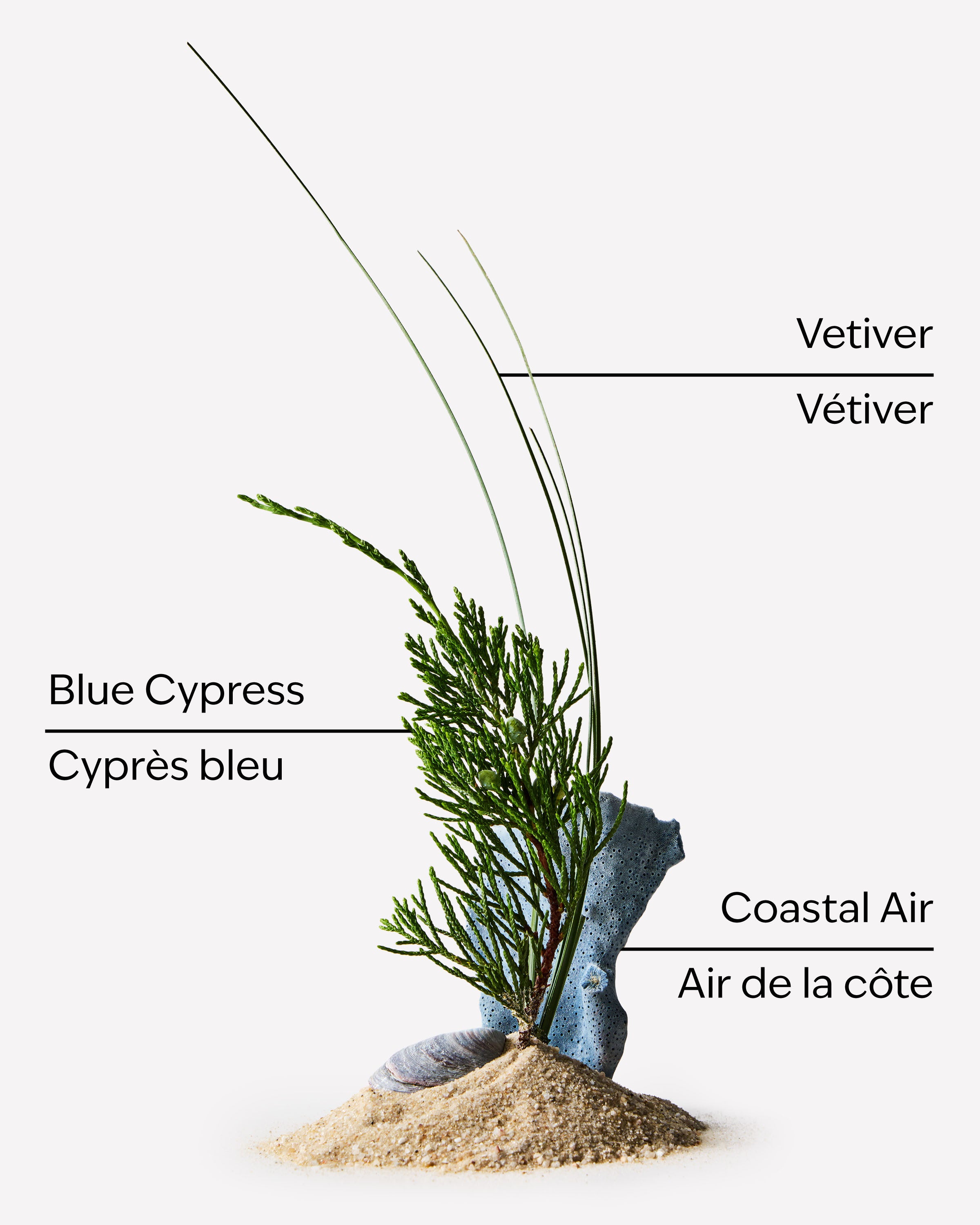 Ocean Deodorizing Body Spray