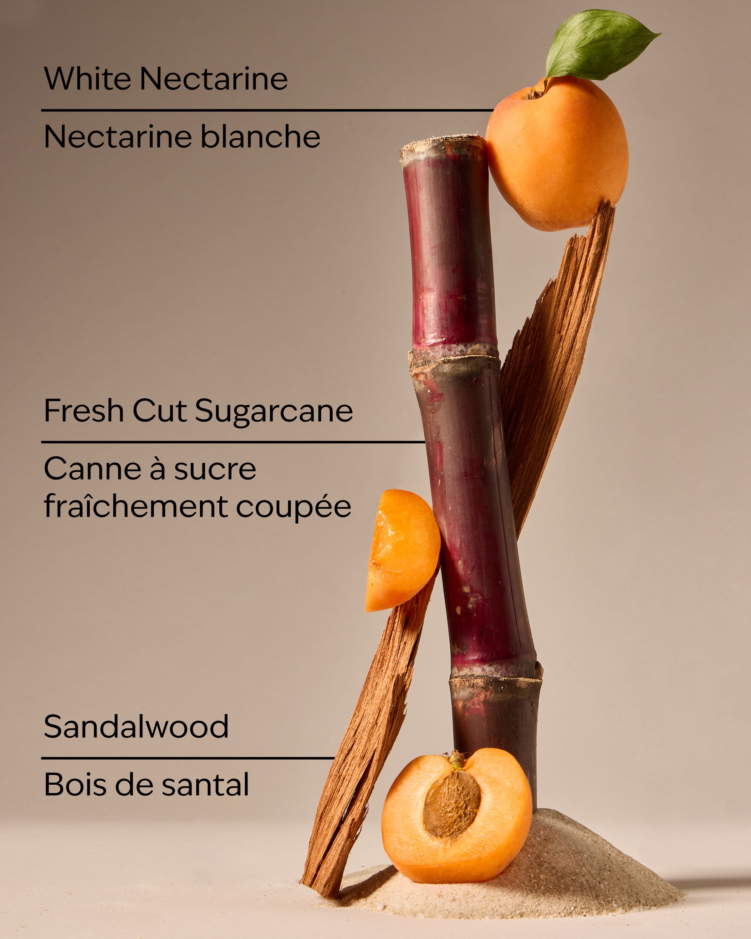 Fiji White Sands Gentle & Clean Foaming Hand Soap Refill