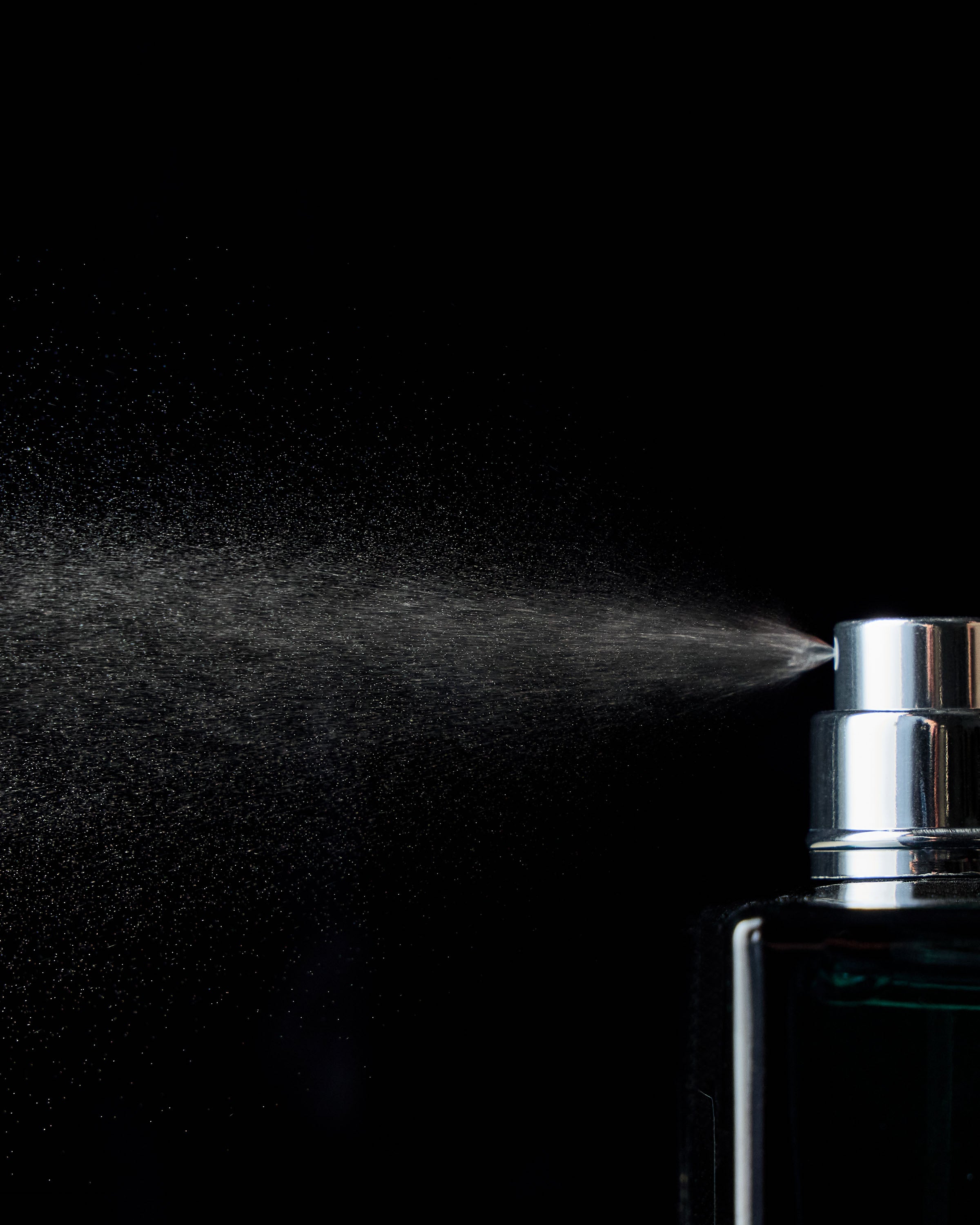 Lasting Legacy Cologne