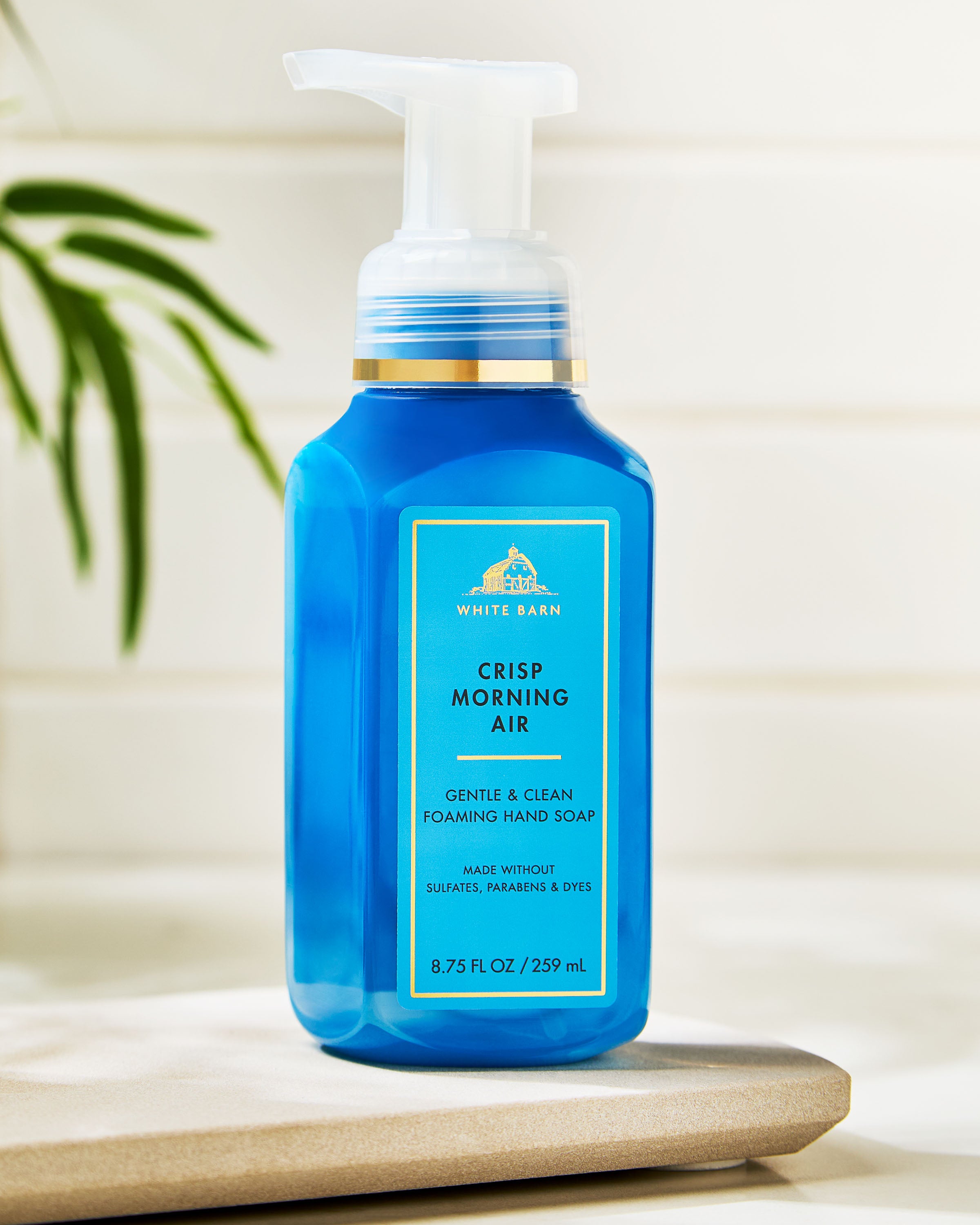 Crisp Morning Air Gentle & Clean Foaming Hand Soap
