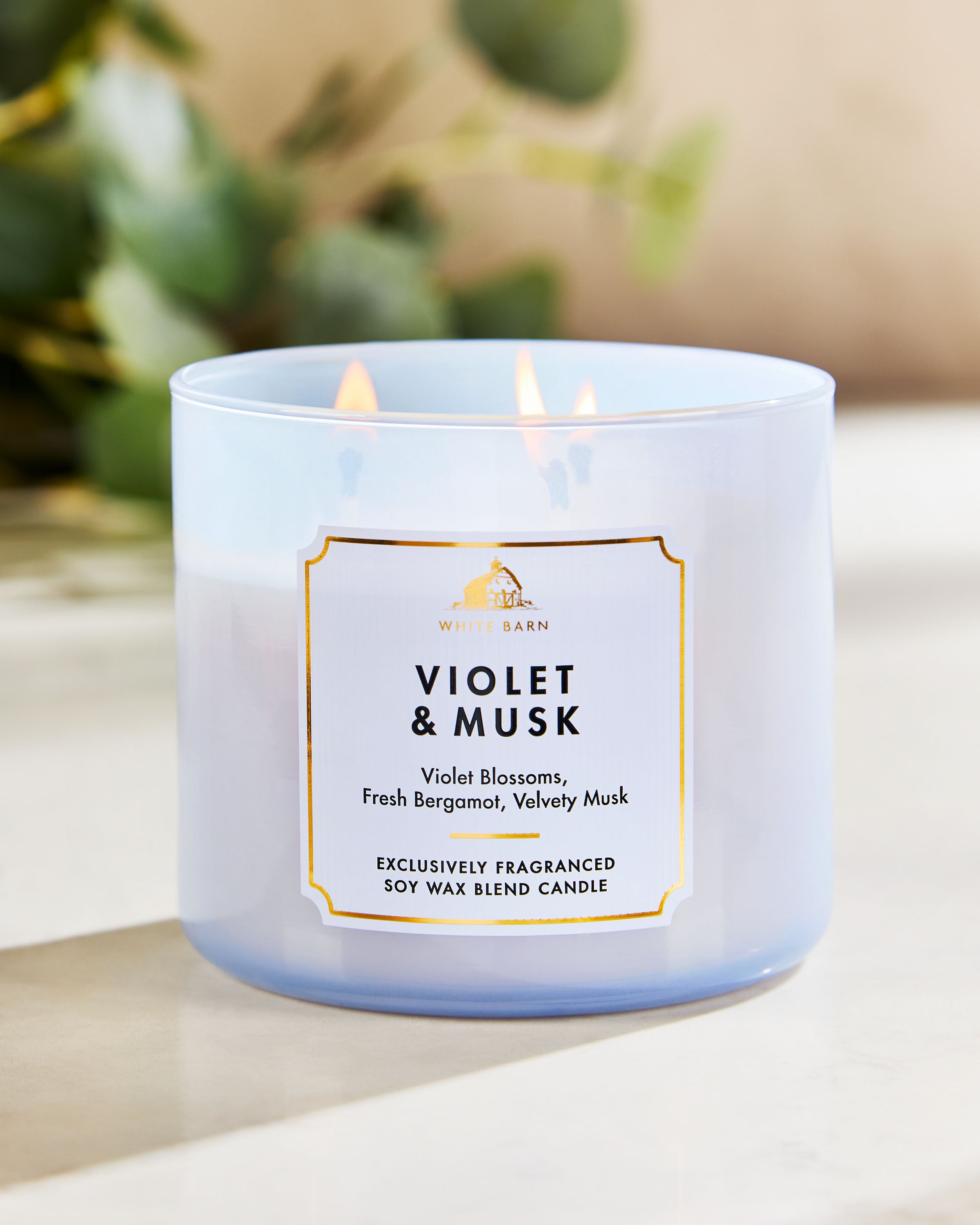 Violet & Musk 3-Wick Candle