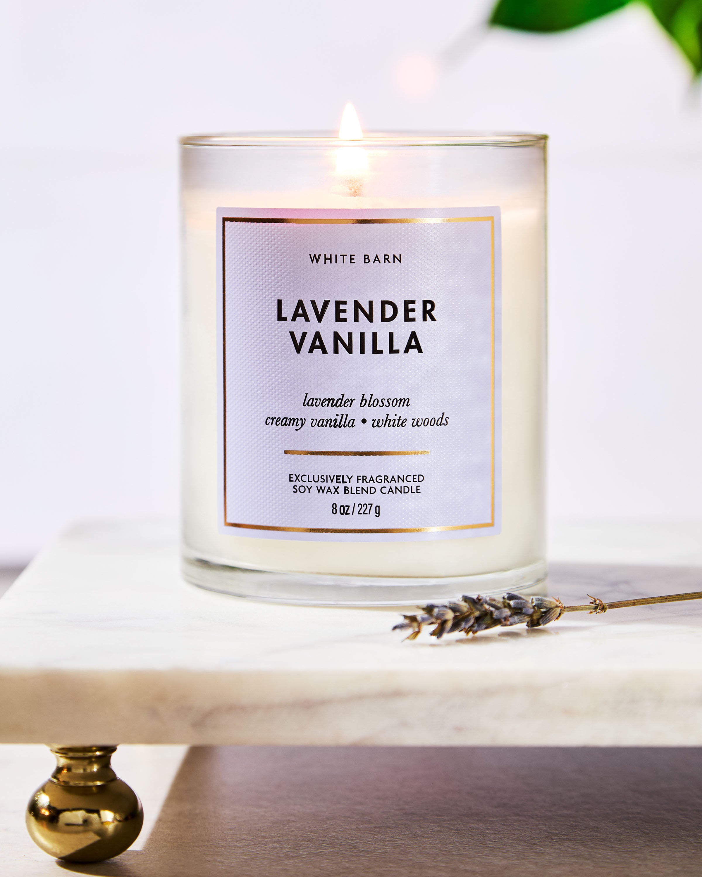 Lavender Vanilla Single Wick Candle