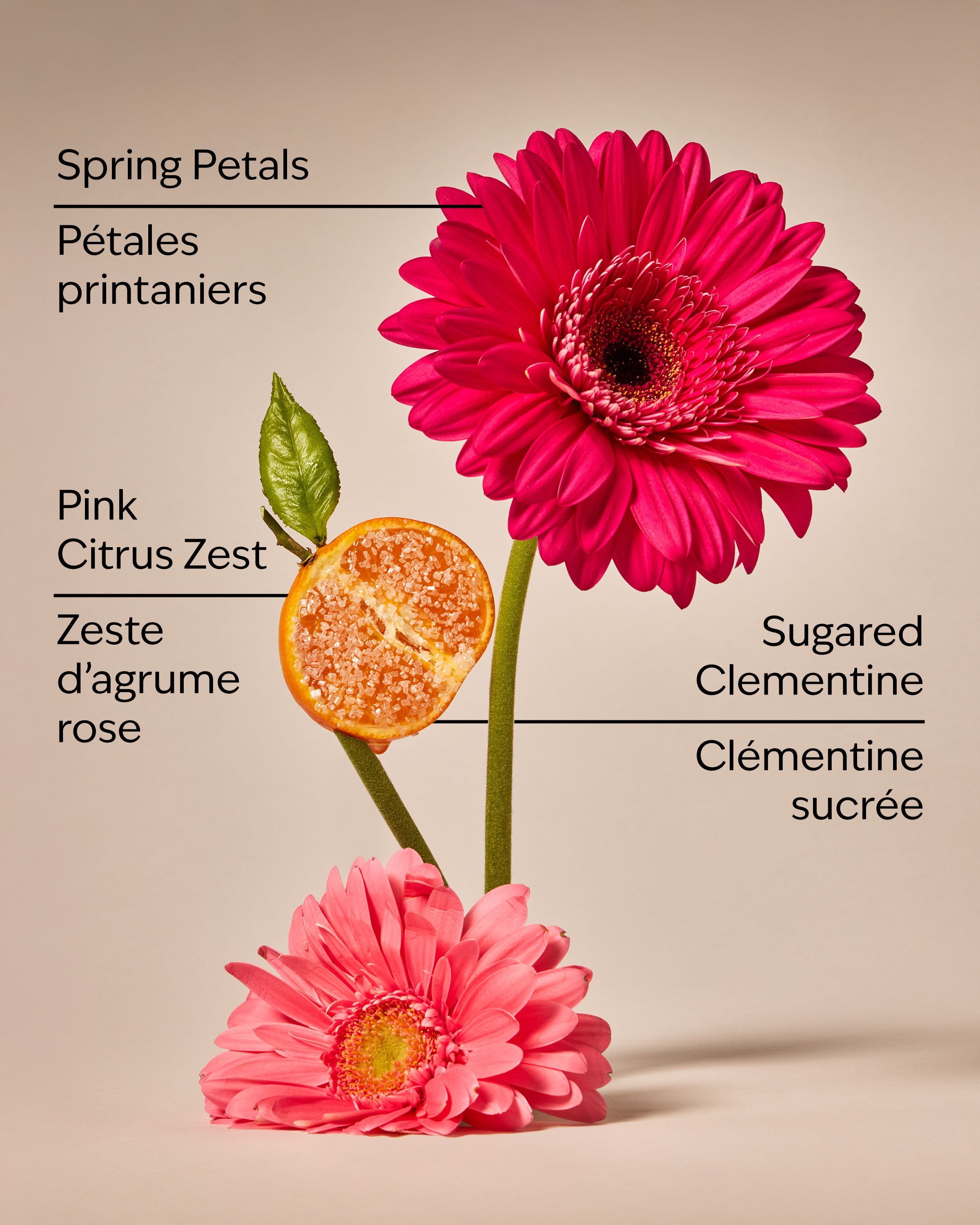 Pink Clementine Cleansing Gel Hand Soap