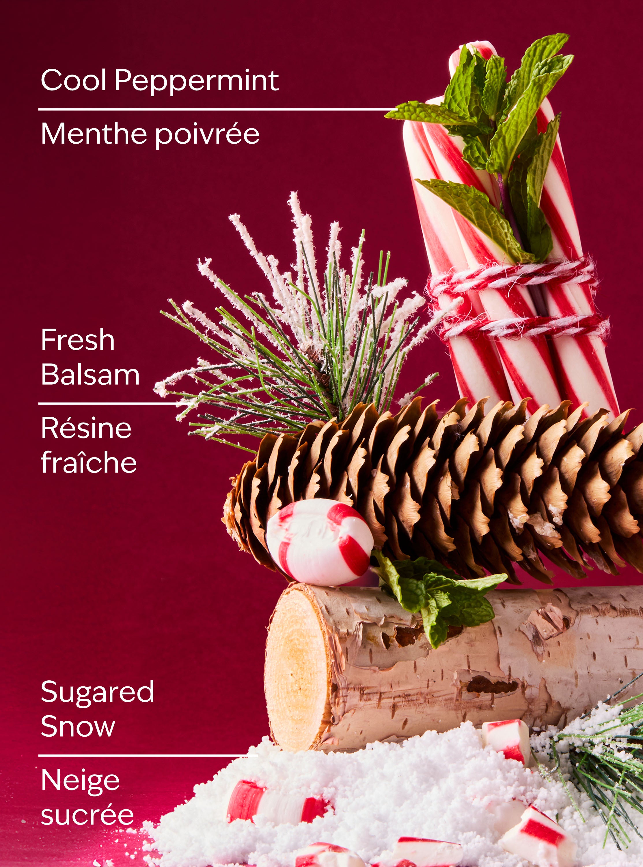 Twisted Peppermint Hand Cream