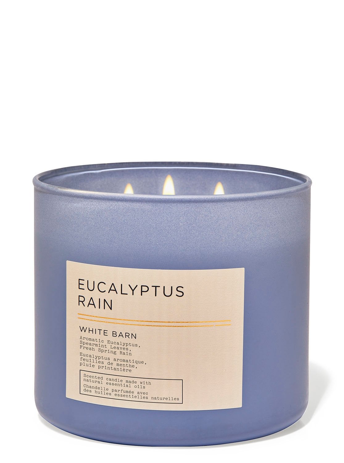 Eucalyptus Rain 3Wick Candle Bath and Body Works