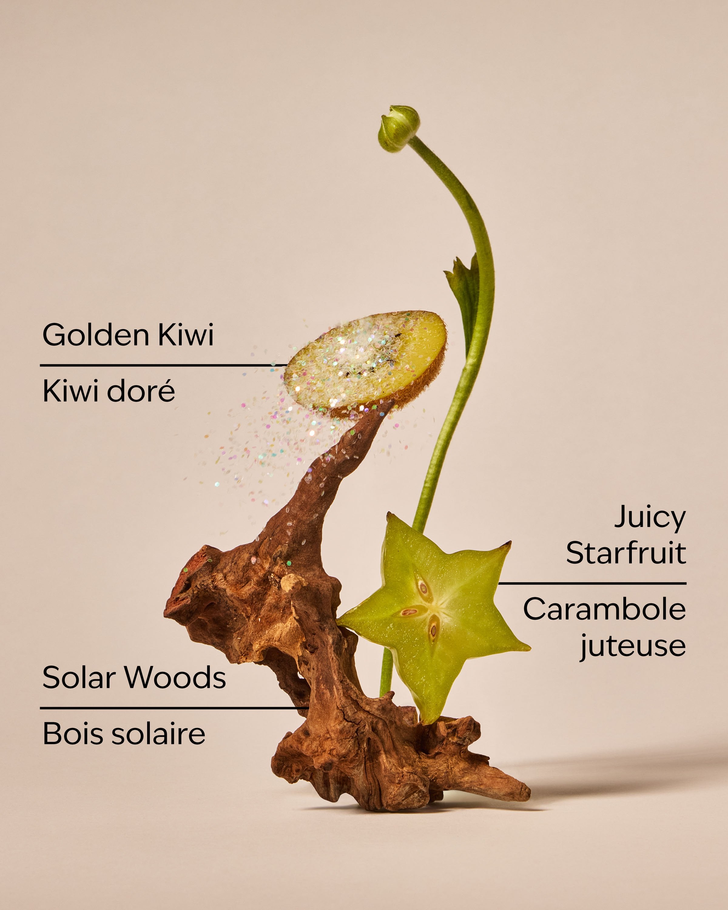 Sweet Kiwi & Starfruit 3-Wick Candle