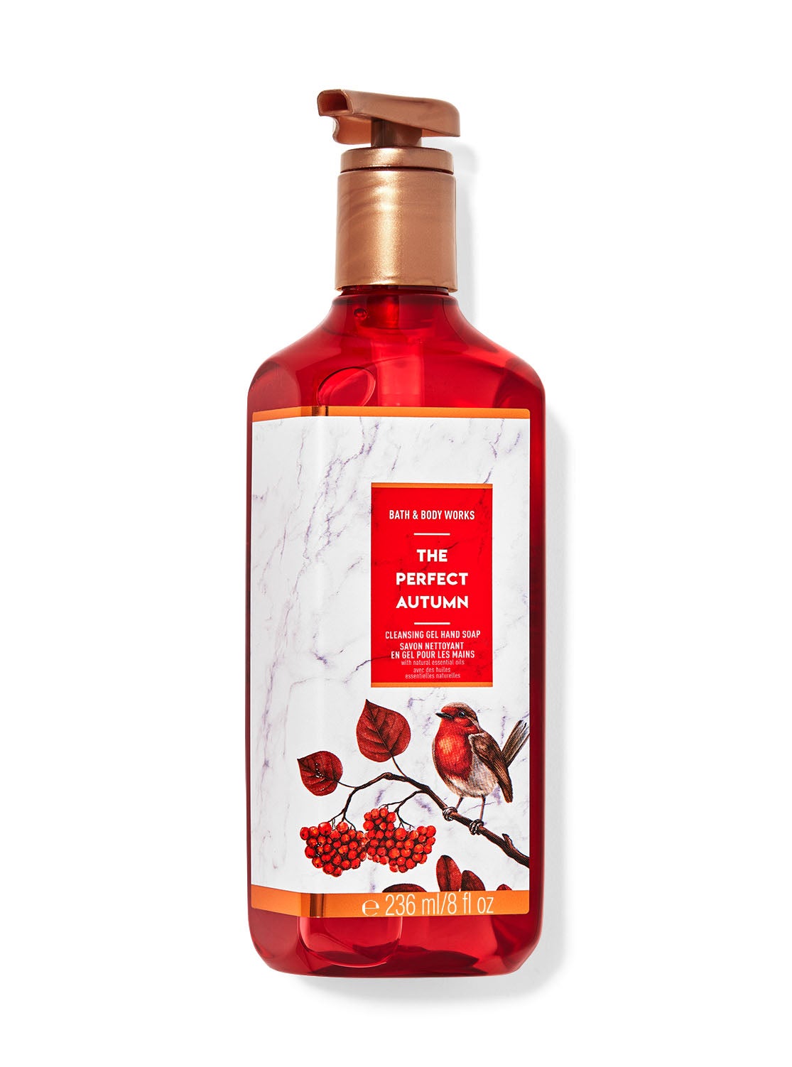 The Perfect Autumn Cleansing Gel Hand Soap Bath and Body Works