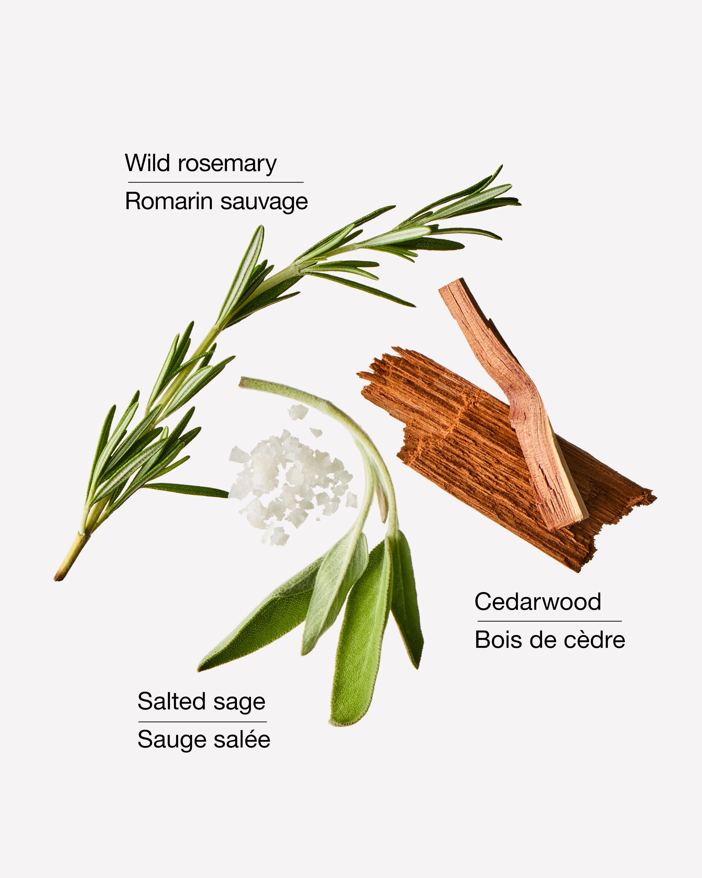 Sugared Rosemary Sage Revitalizing Hand Soap