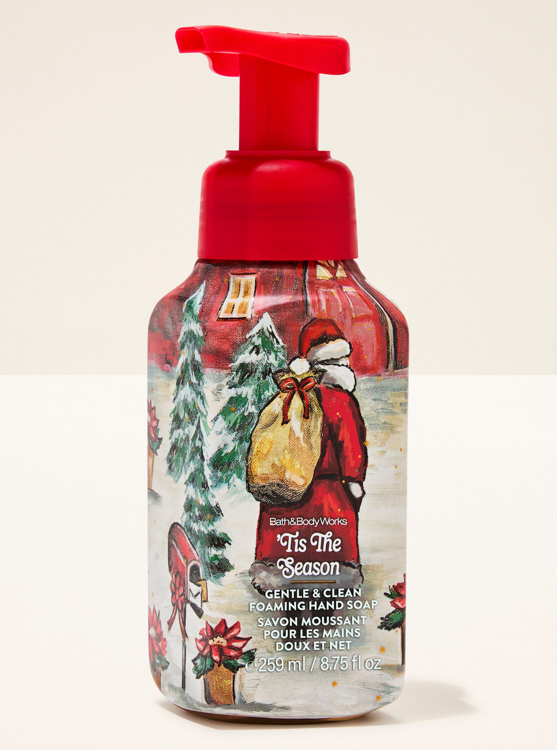 Tis The Season Gentle & Clean Foaming Hand Soap