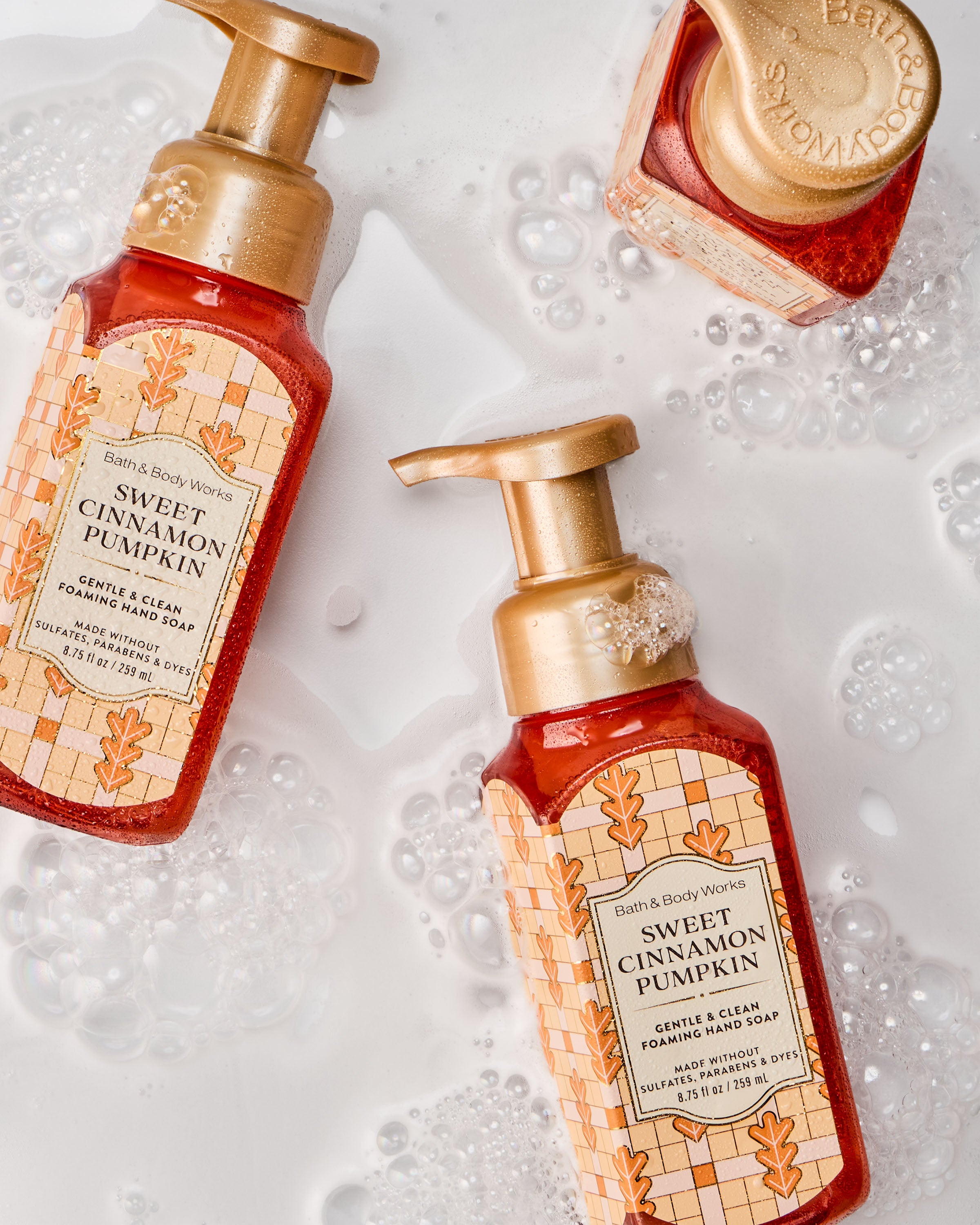 Sweet Cinnamon Pumpkin Gentle & Clean Foaming Hand Soap