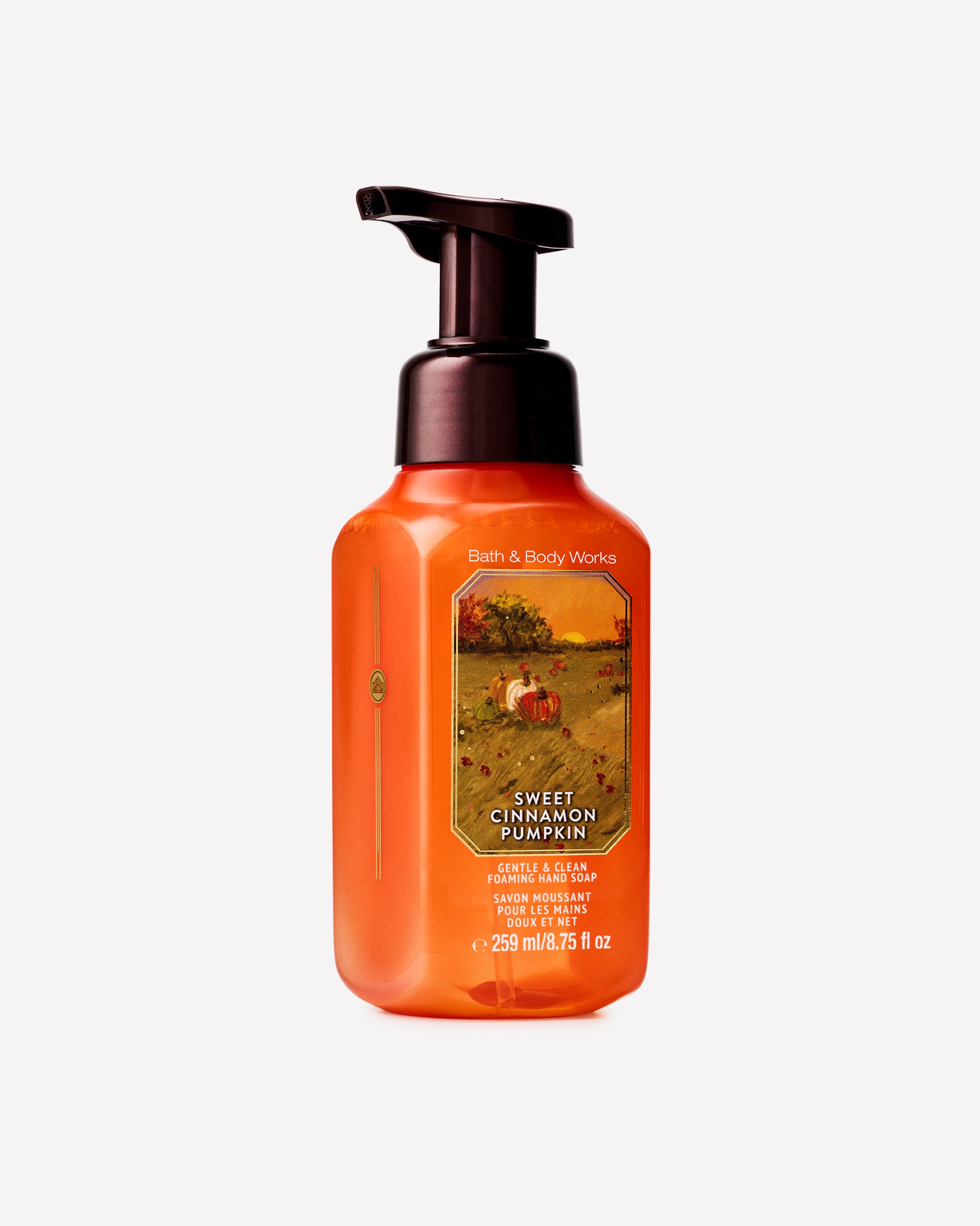 Savon moussant doux et net Sweet Cinnamon Pumpkin
