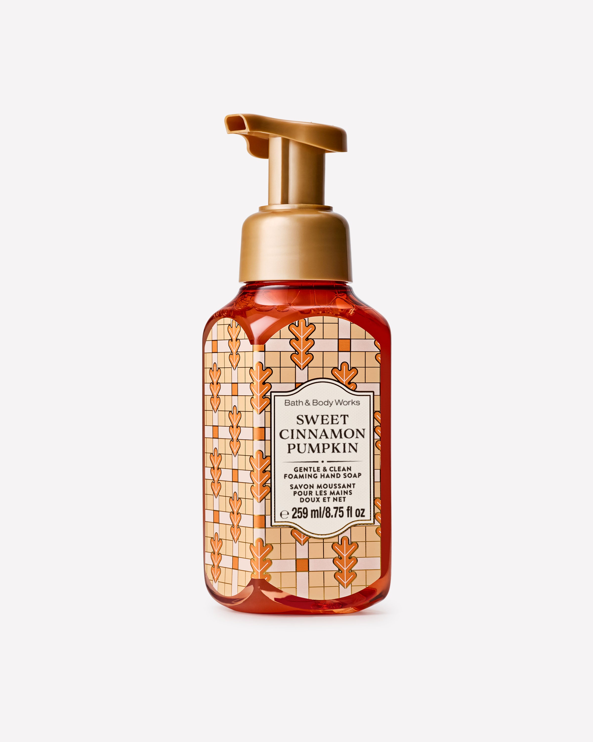 Sweet Cinnamon Pumpkin Gentle & Clean Foaming Hand Soap