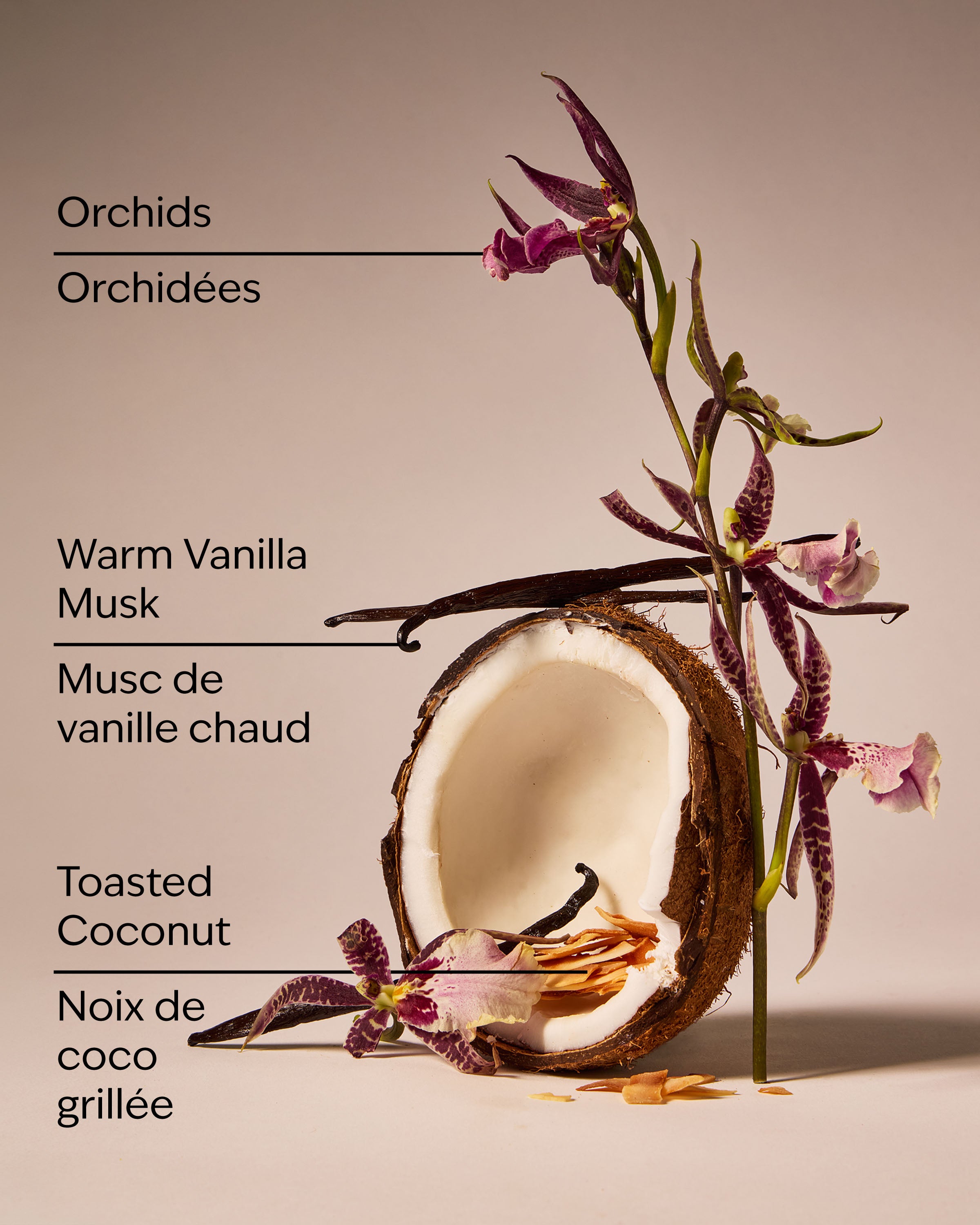 Tiki Beach Wallflowers Fragrance Refill