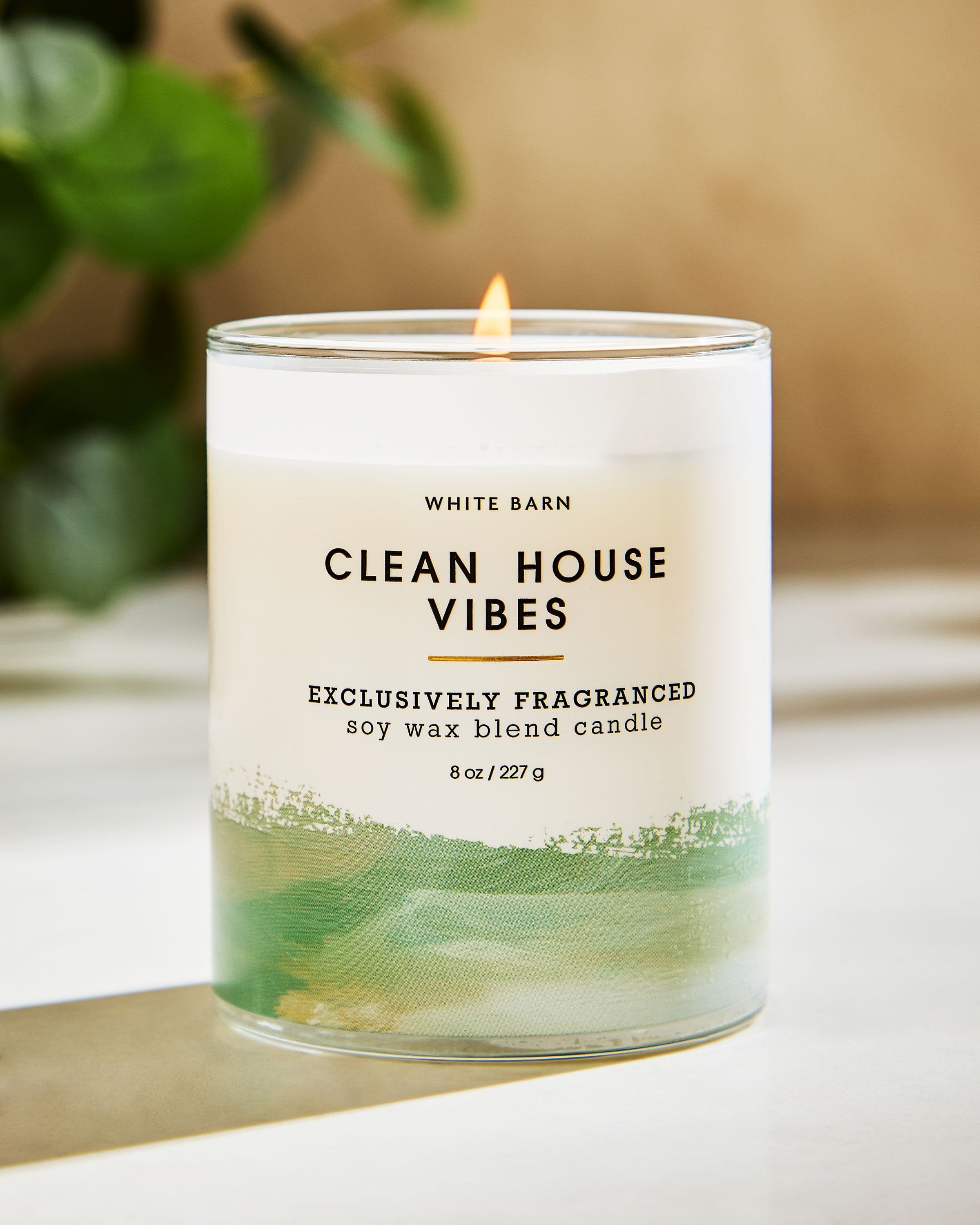 Clean House Vibes Single Wick Candle