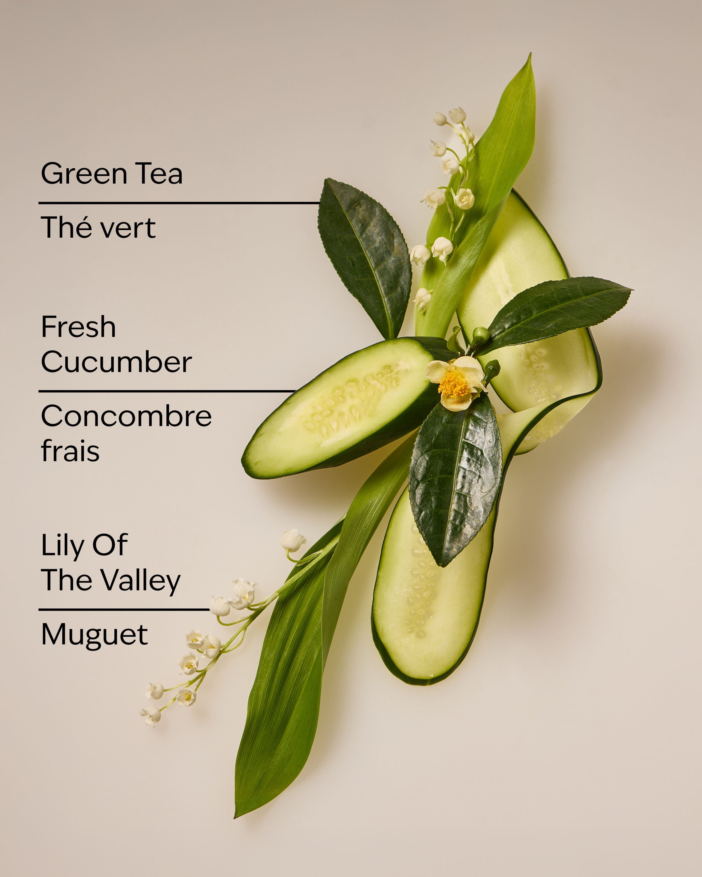 Cucumber & Lily Daily Moisturizing Hand Soap