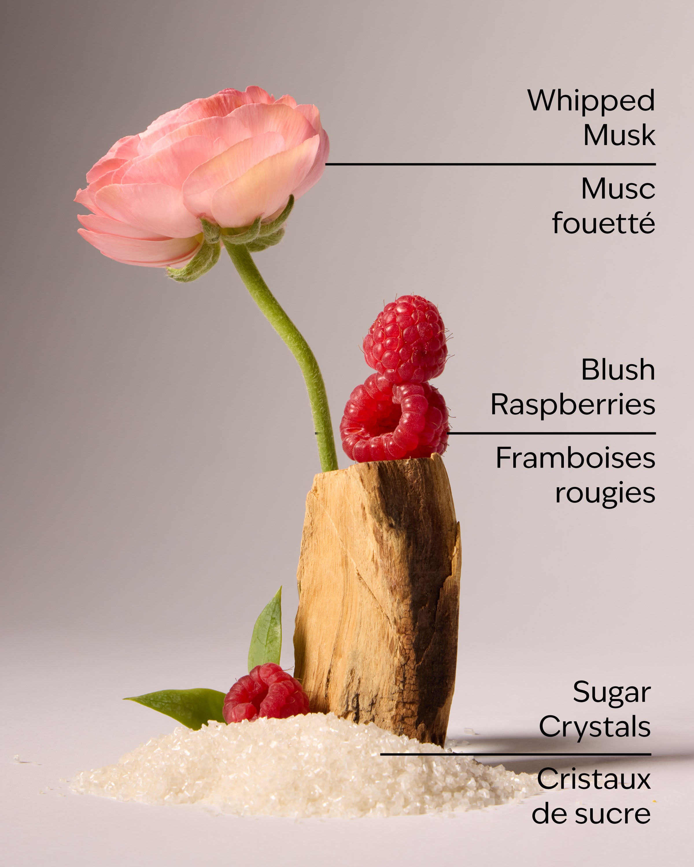 Sweetest Song Fine Fragrance Mist