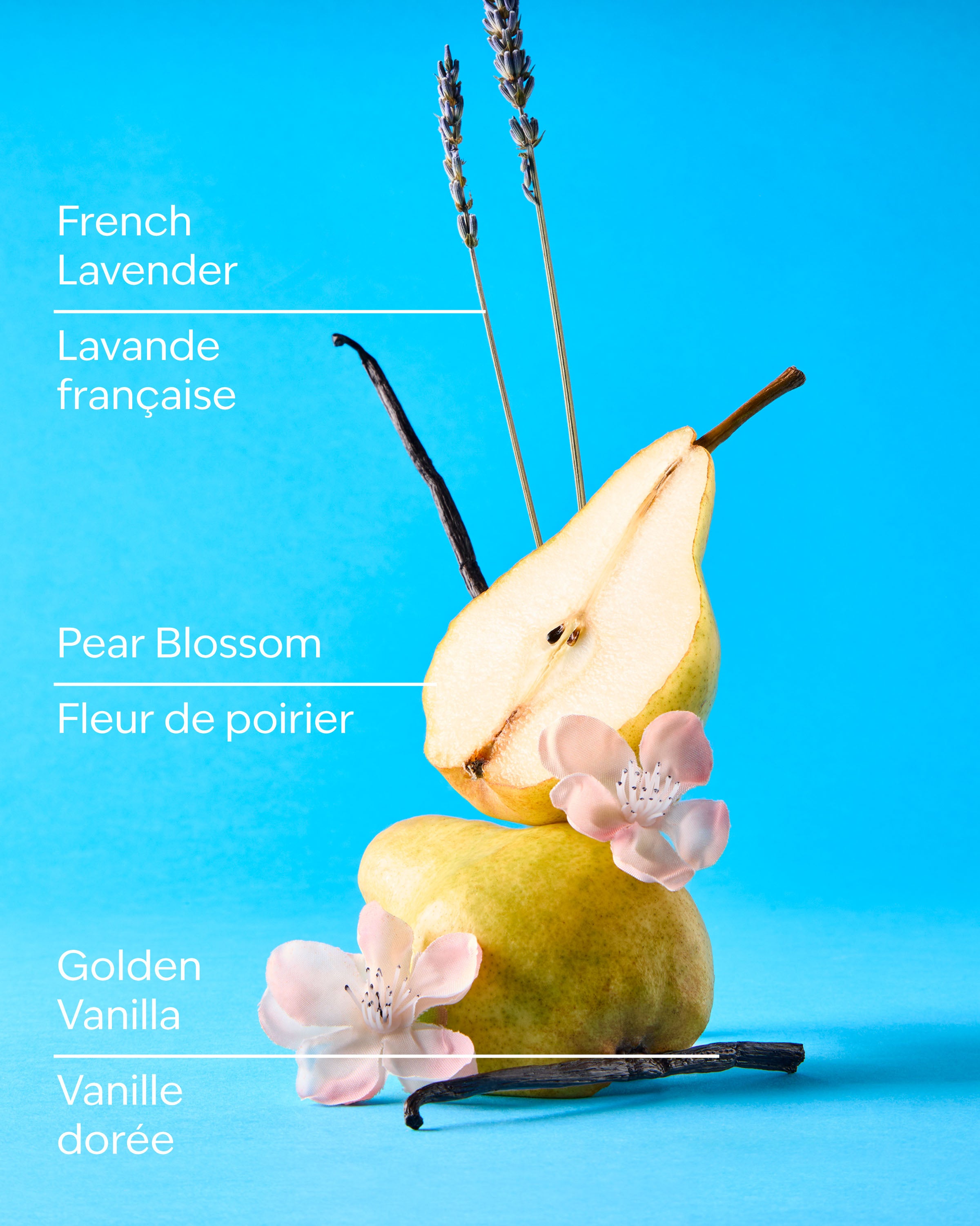 Moonlit Goddess Gentle & Clean Foaming Hand Soap