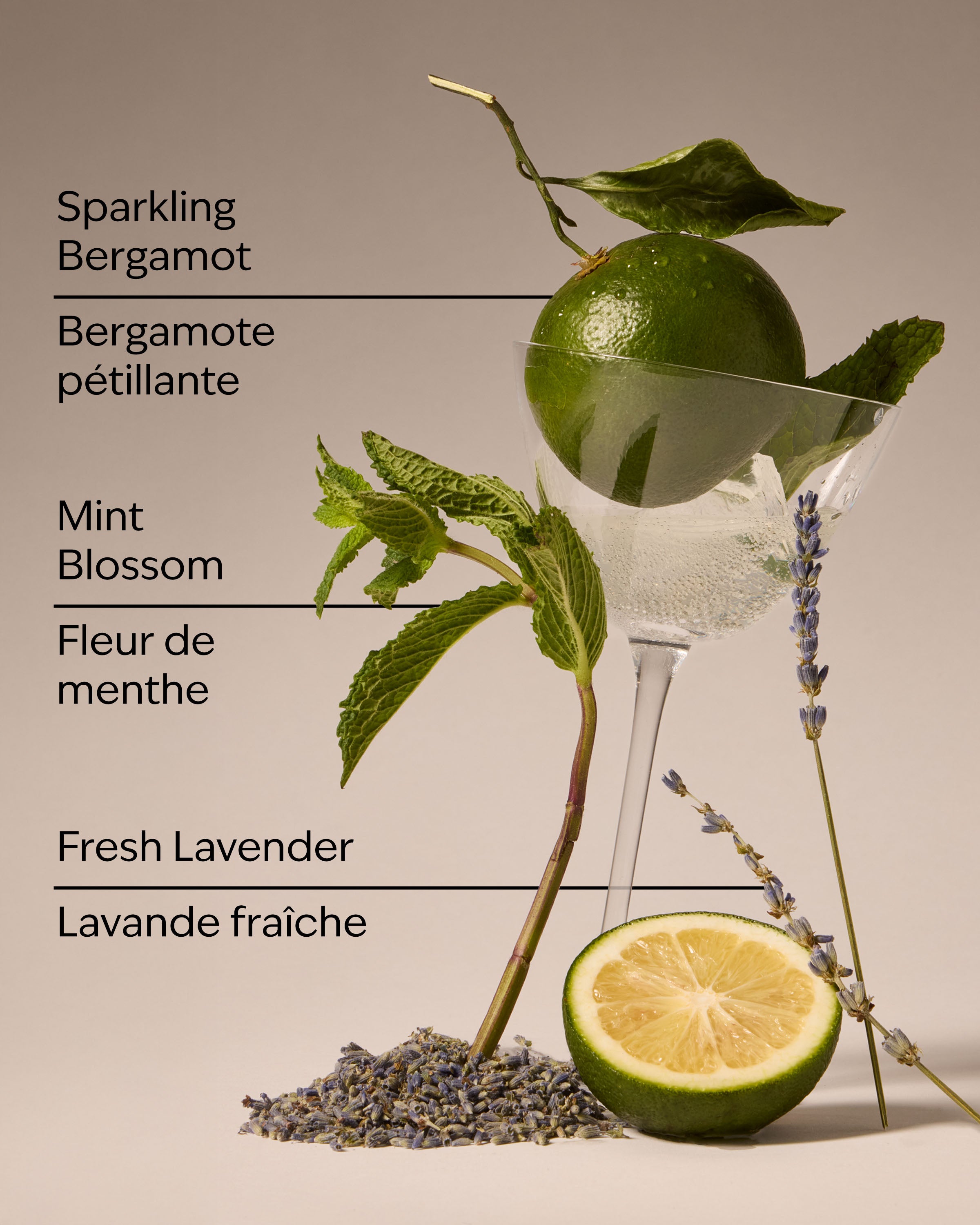 Clean House Vibes Hanging Fragrance Diffuser