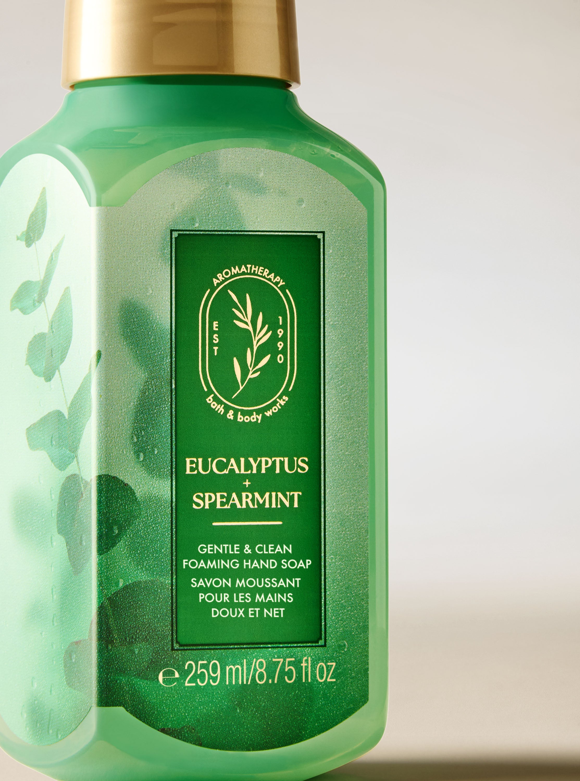 Eucalyptus Spearmint Gentle & Clean Foaming Hand Soap