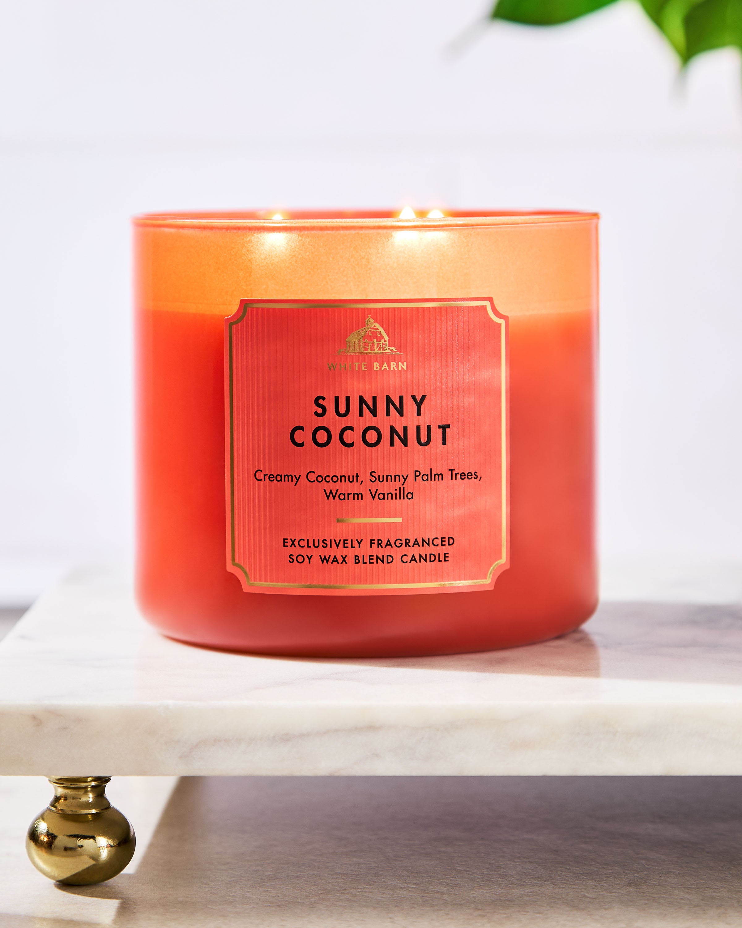 Sunny Coconut 3-Wick Candle