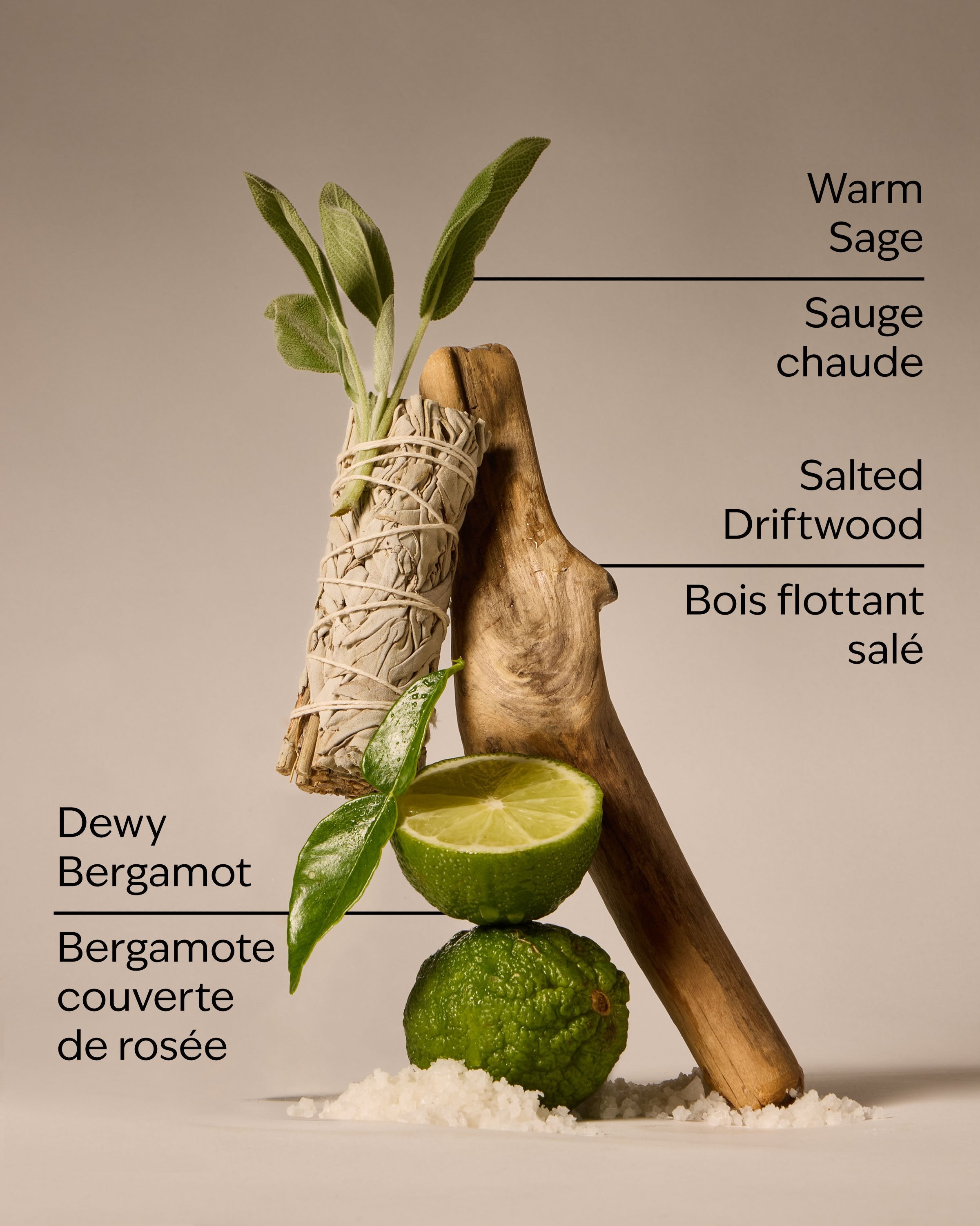 Salted Shorelines Fine Fragrance Mist