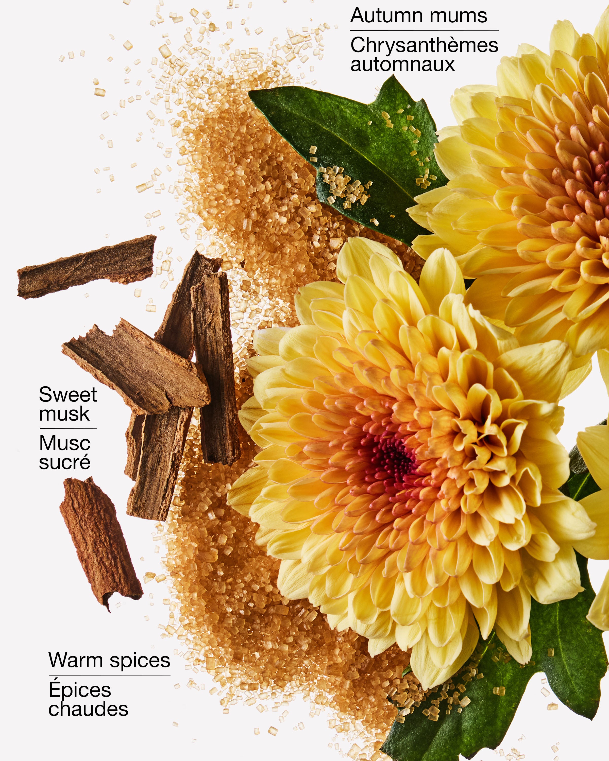 Savon moussant doux et net Sweet Mum Blossom