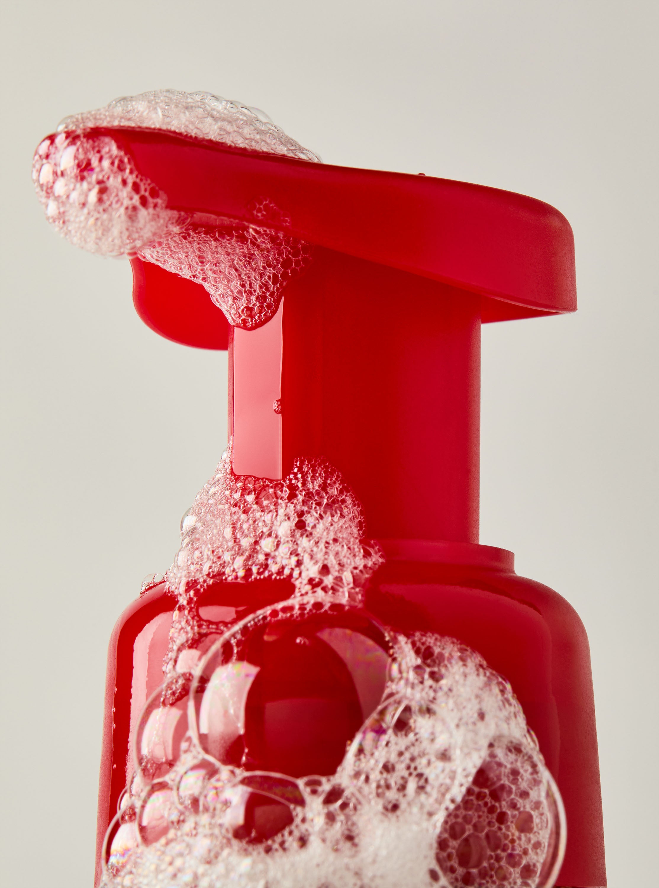 Tis The Season Gentle & Clean Foaming Hand Soap