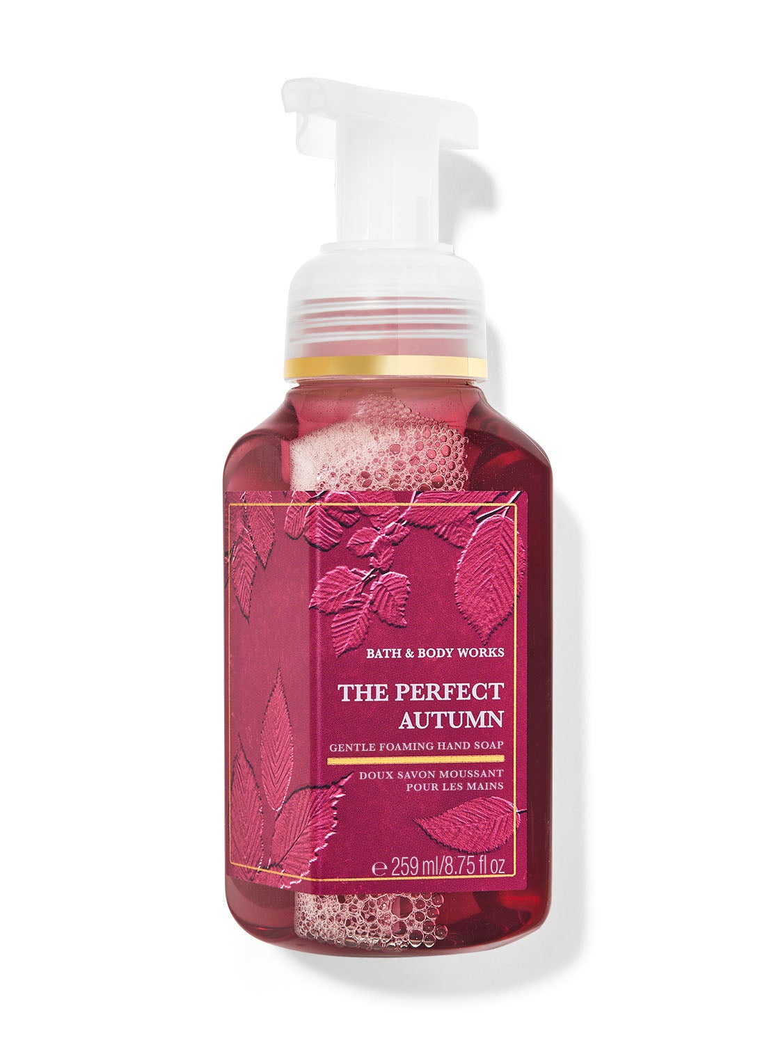 The Perfect Autumn Gentle Foaming Hand Soap Bath and Body Works