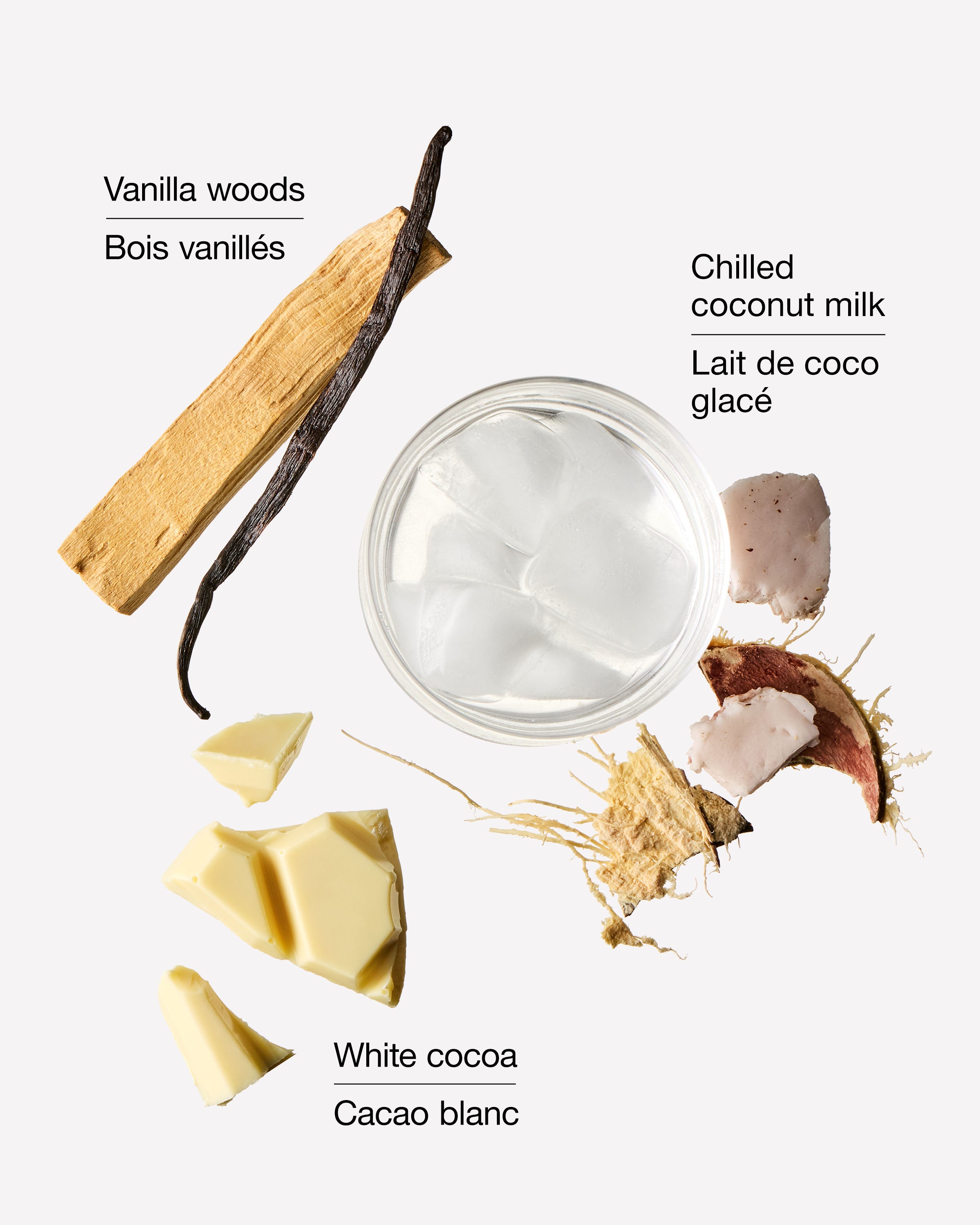 Vanilla Cocoa Flurries Gentle & Clean Foaming Hand Soap