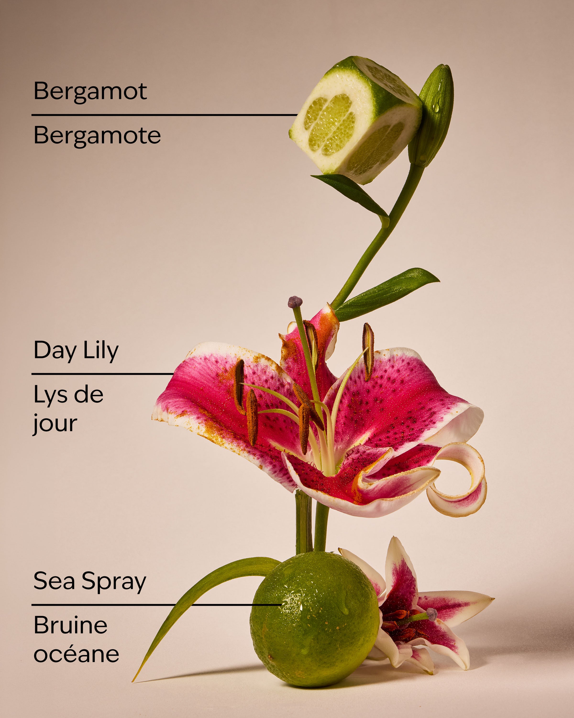 Turquoise Waters PocketBac Hand Sanitizer