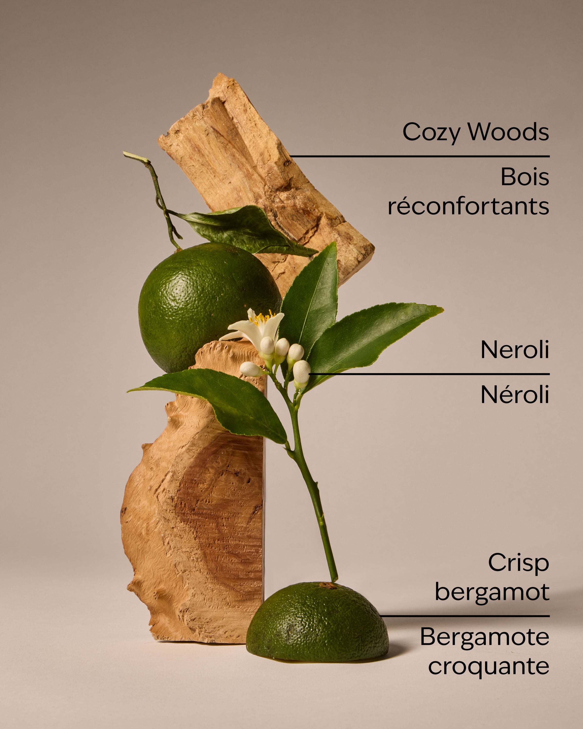 Book Loft 3-Wick Candle