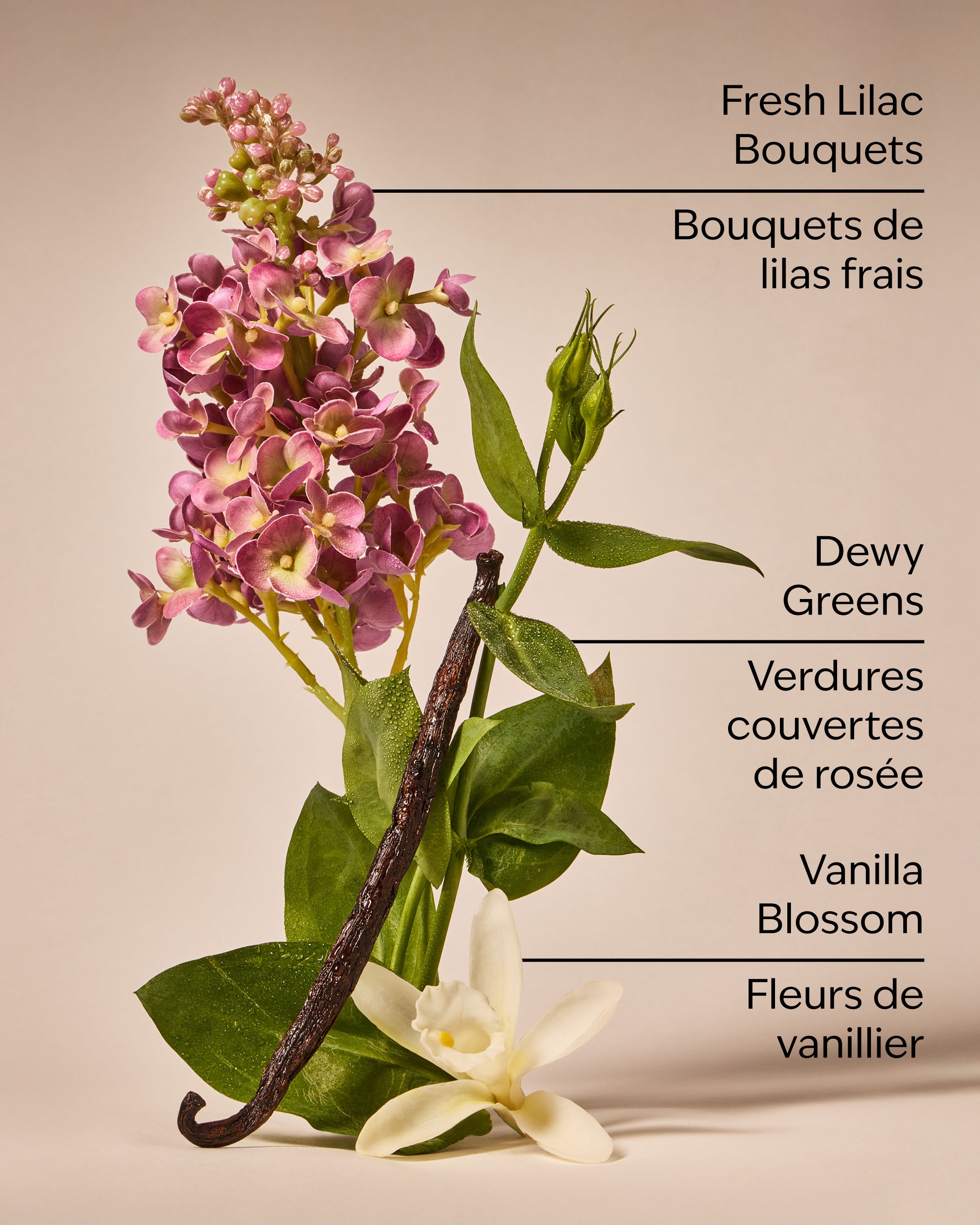 Pink Lilac & Vanilla 3-Wick Candle