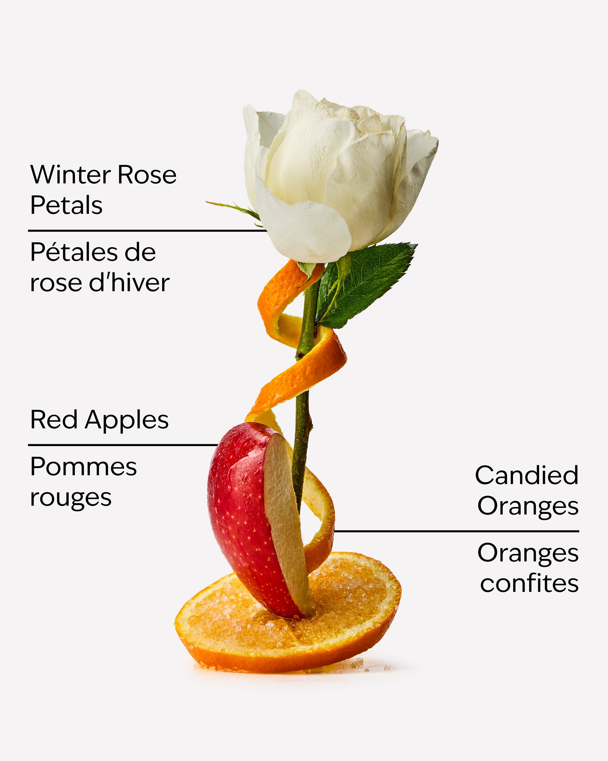 Winter Candy Apple 3-Wick Candle