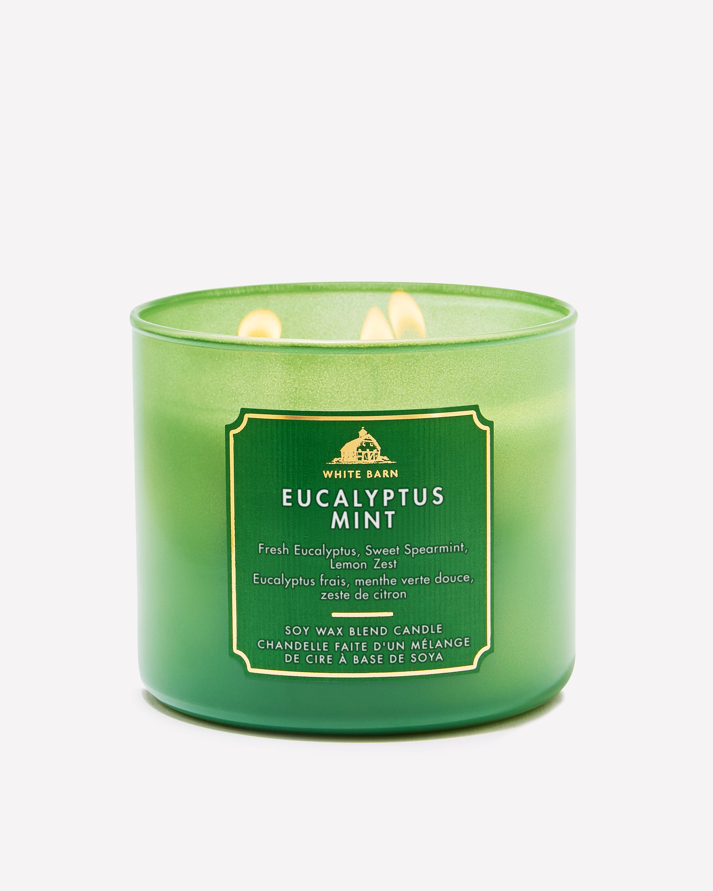 Chandelle à 3 mèches Eucalyptus Mint