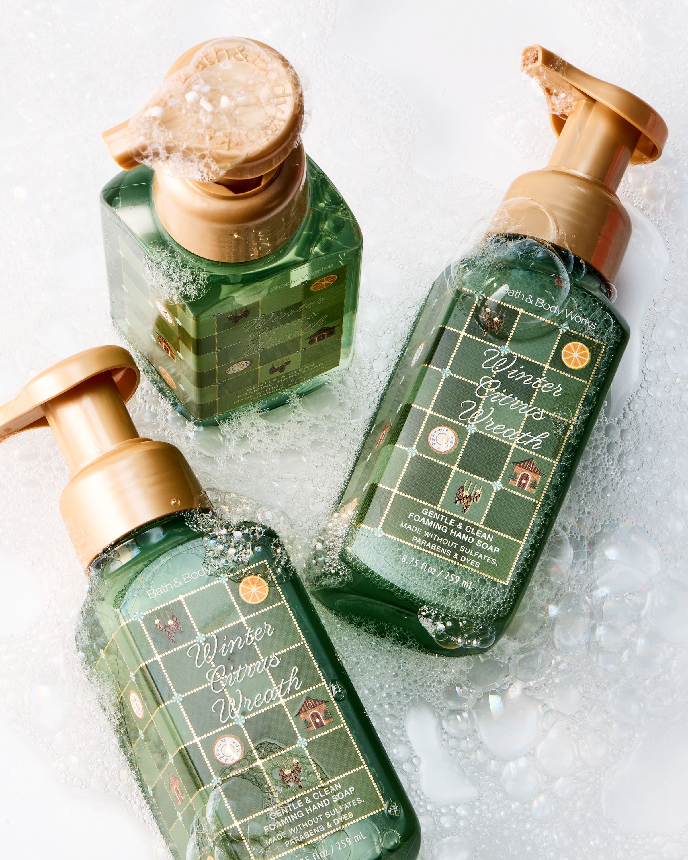 Winter Citrus Wreath Gentle & Clean Foaming Hand Soap