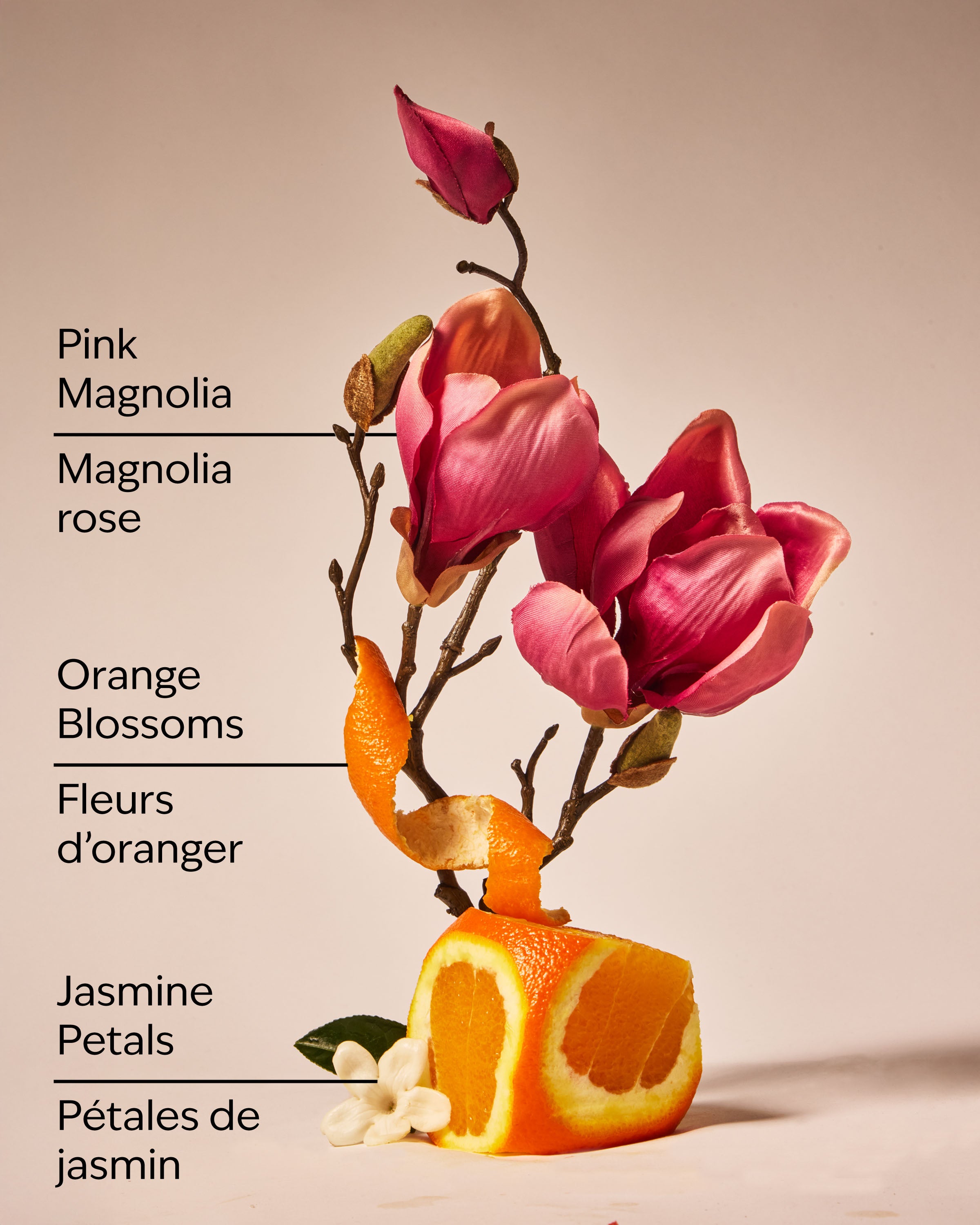 Pink Petal Confetti Wallflowers Fragrance Refill