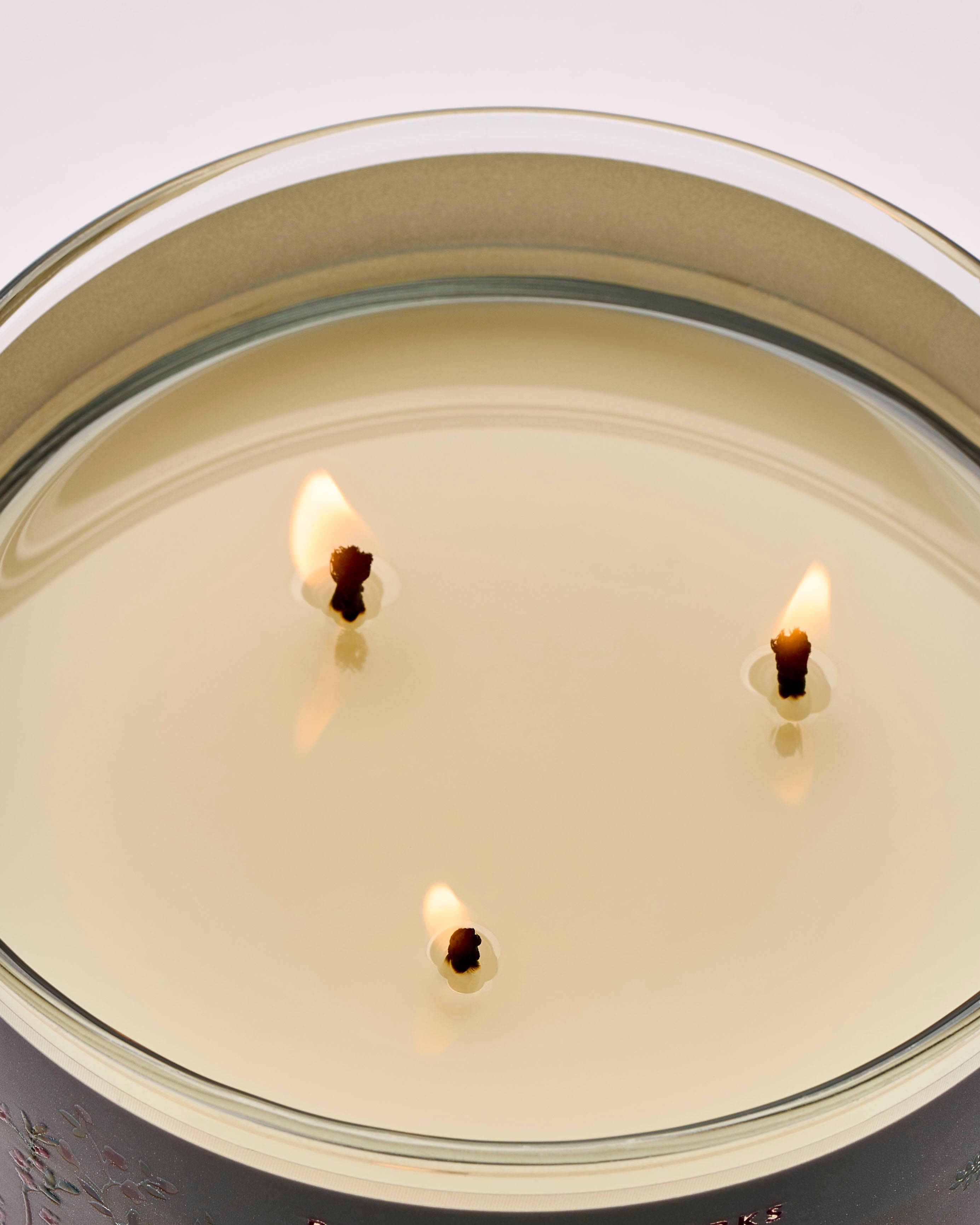 Forever Cherry Blossom 3-Wick Candle