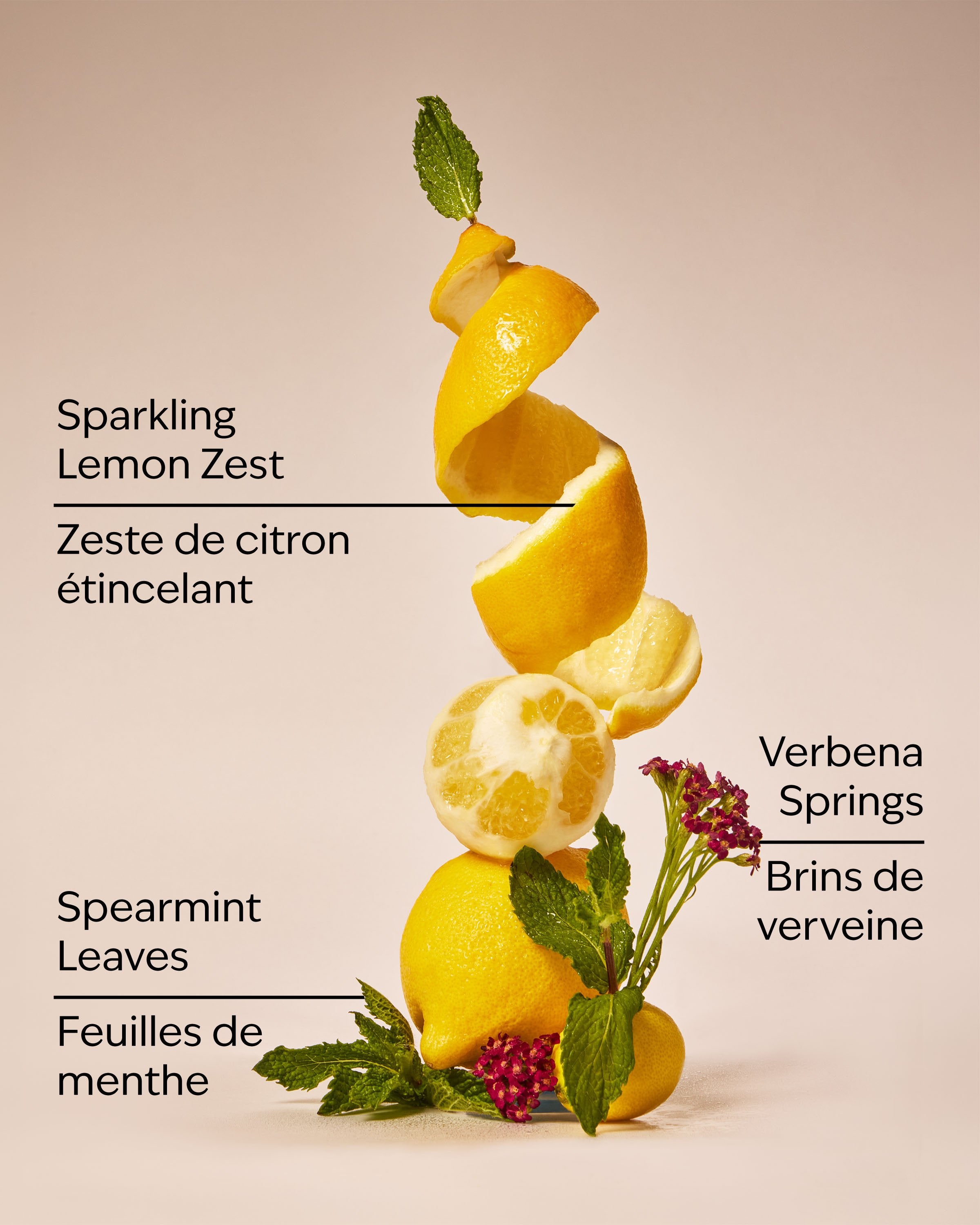 Lemon Mint Leaf 3-Wick Candle