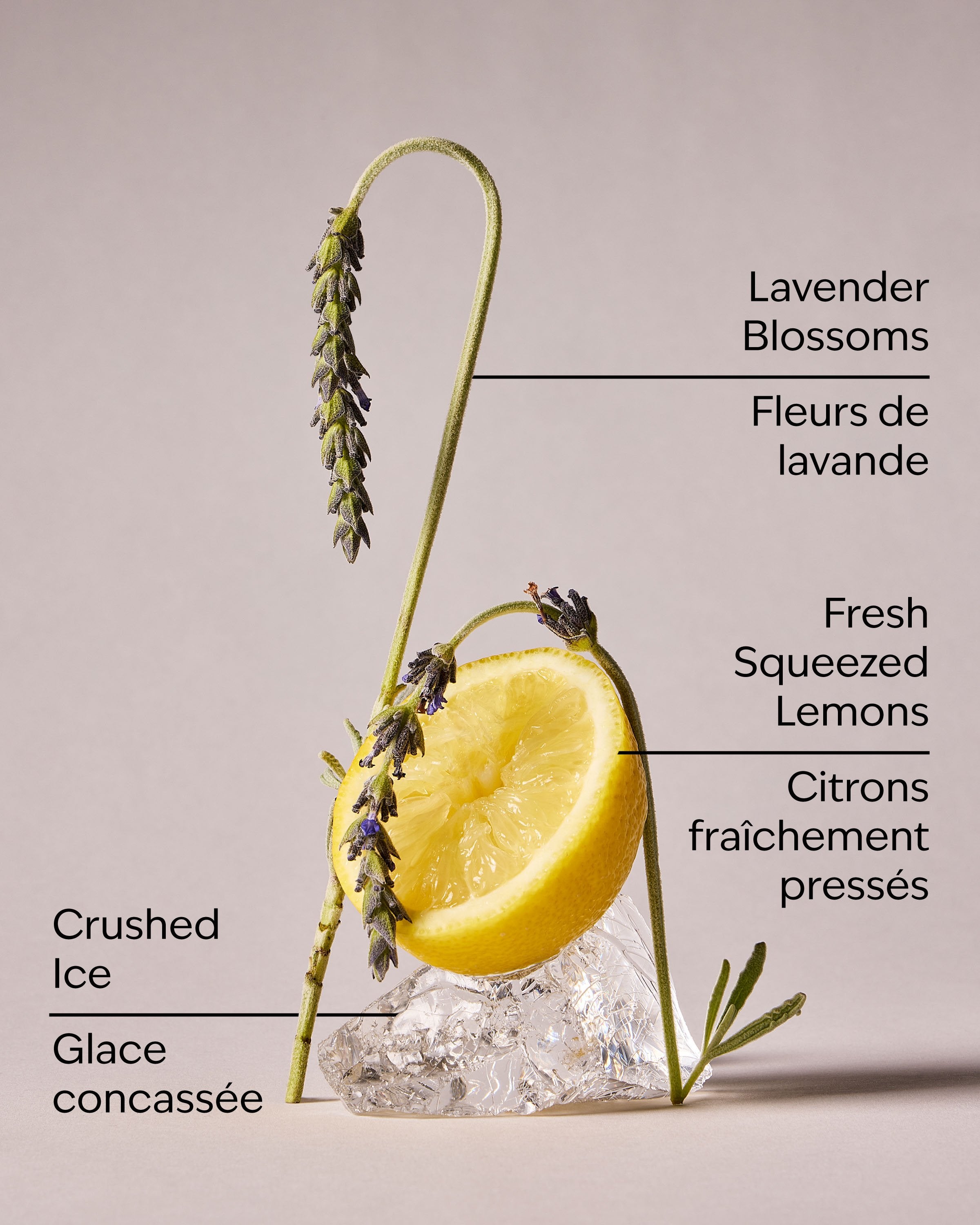 Lavender Lemonade Cleansing Gel Hand Soap