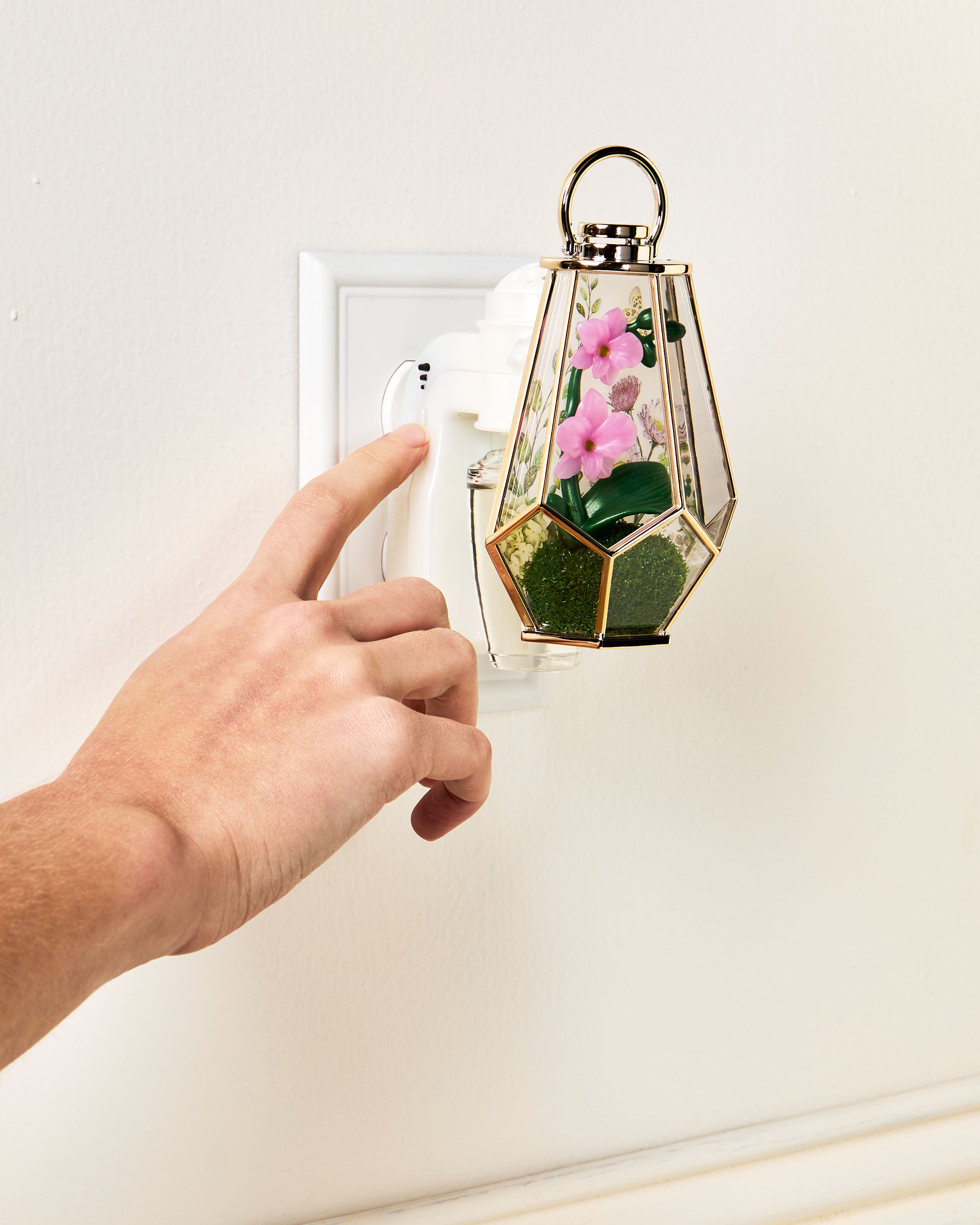 Orchid Terrarium Scent Control™ Nightlight Wallflowers Fragrance Plug