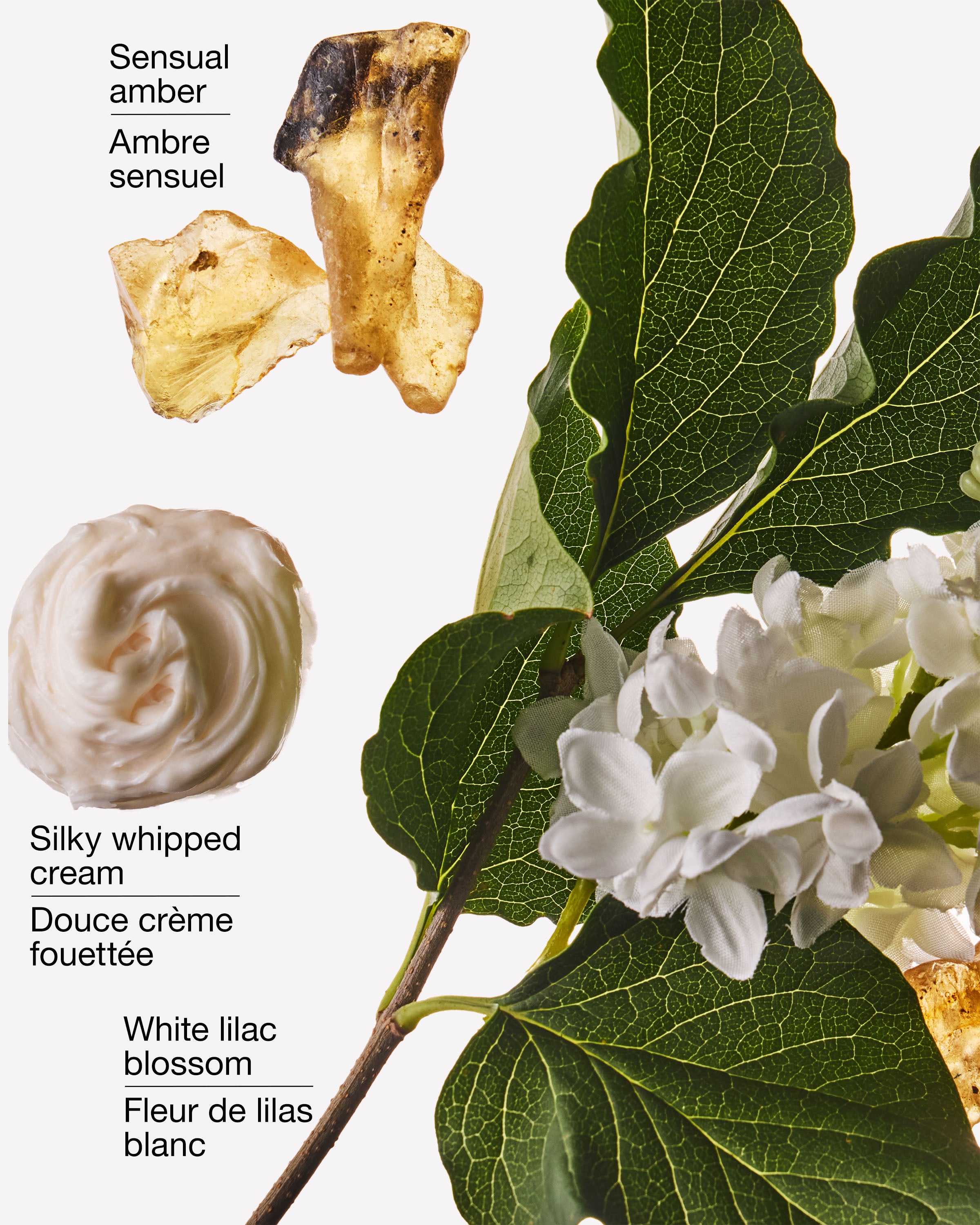 Milk & Musk Wallflowers Fragrance Refill