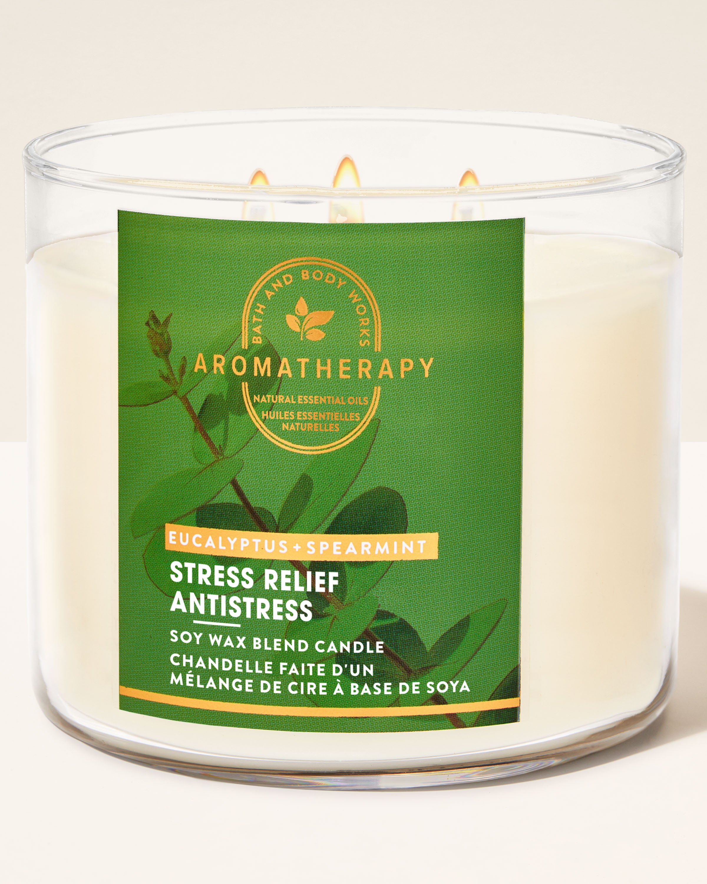 Eucalyptus Spearmint 3-Wick Candle