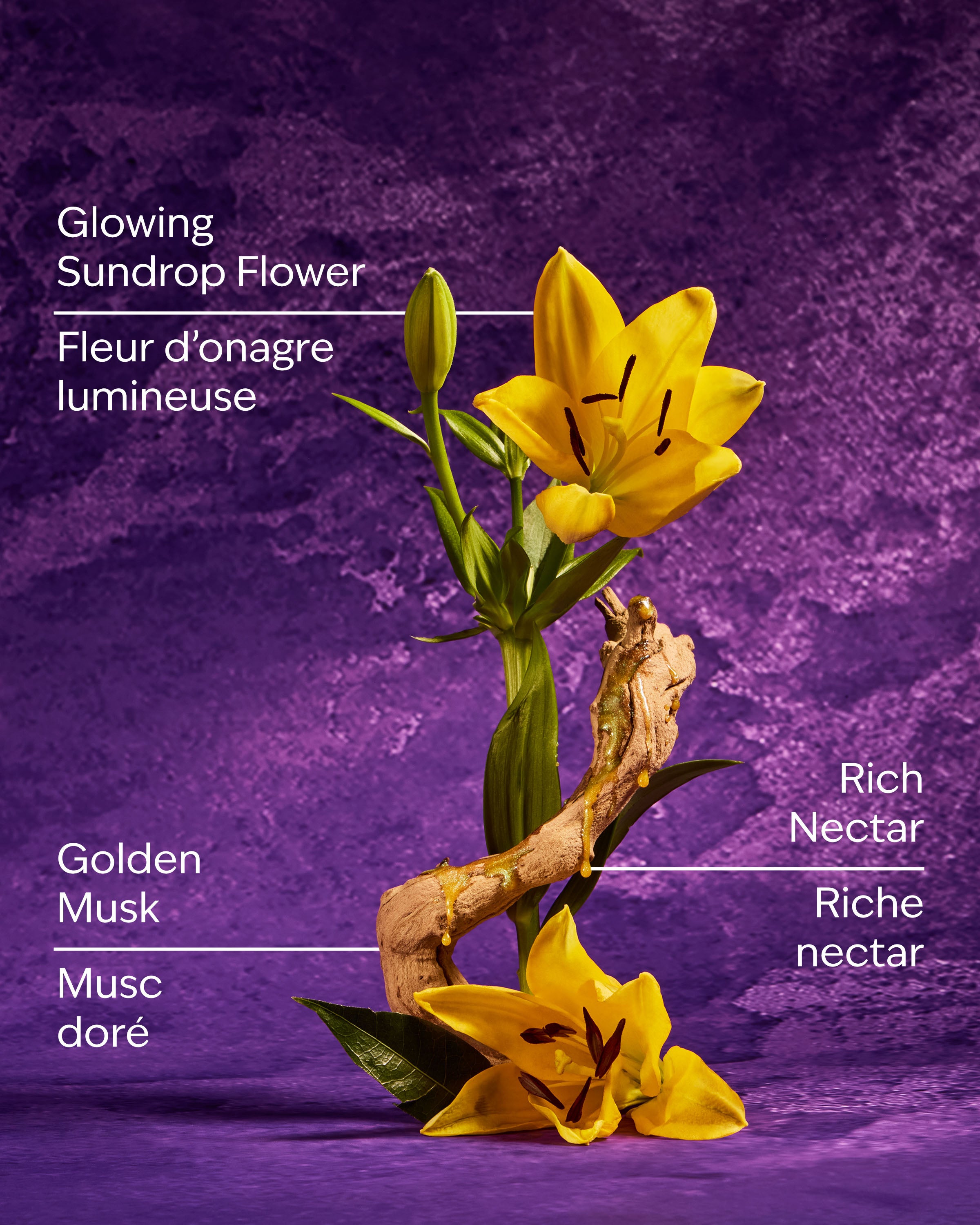 Rapunzel Wallflowers Fragrance Refill