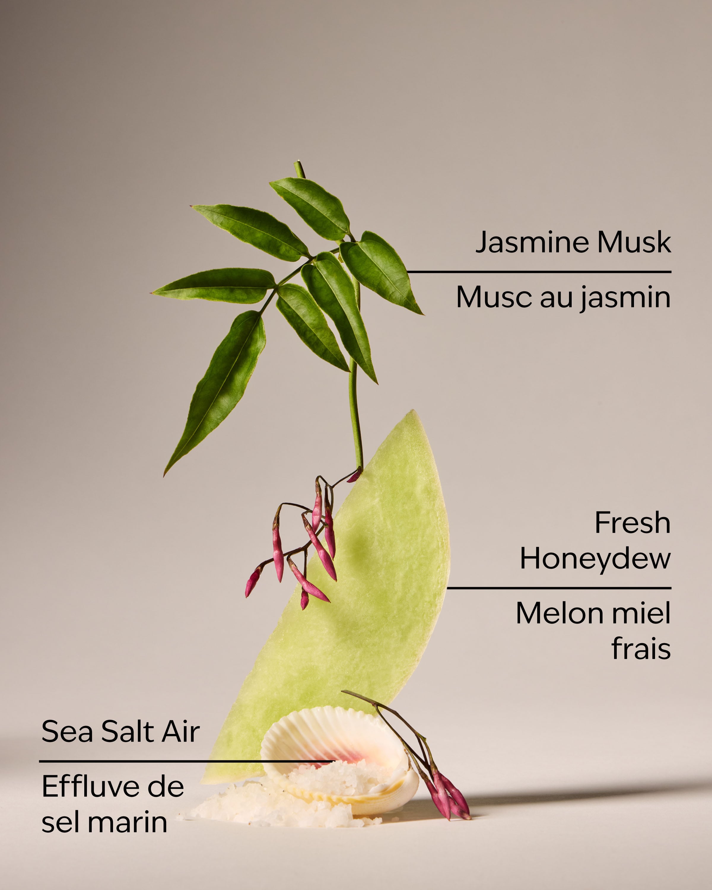 Sea Salt Travel Size Fine Fragrance Mist