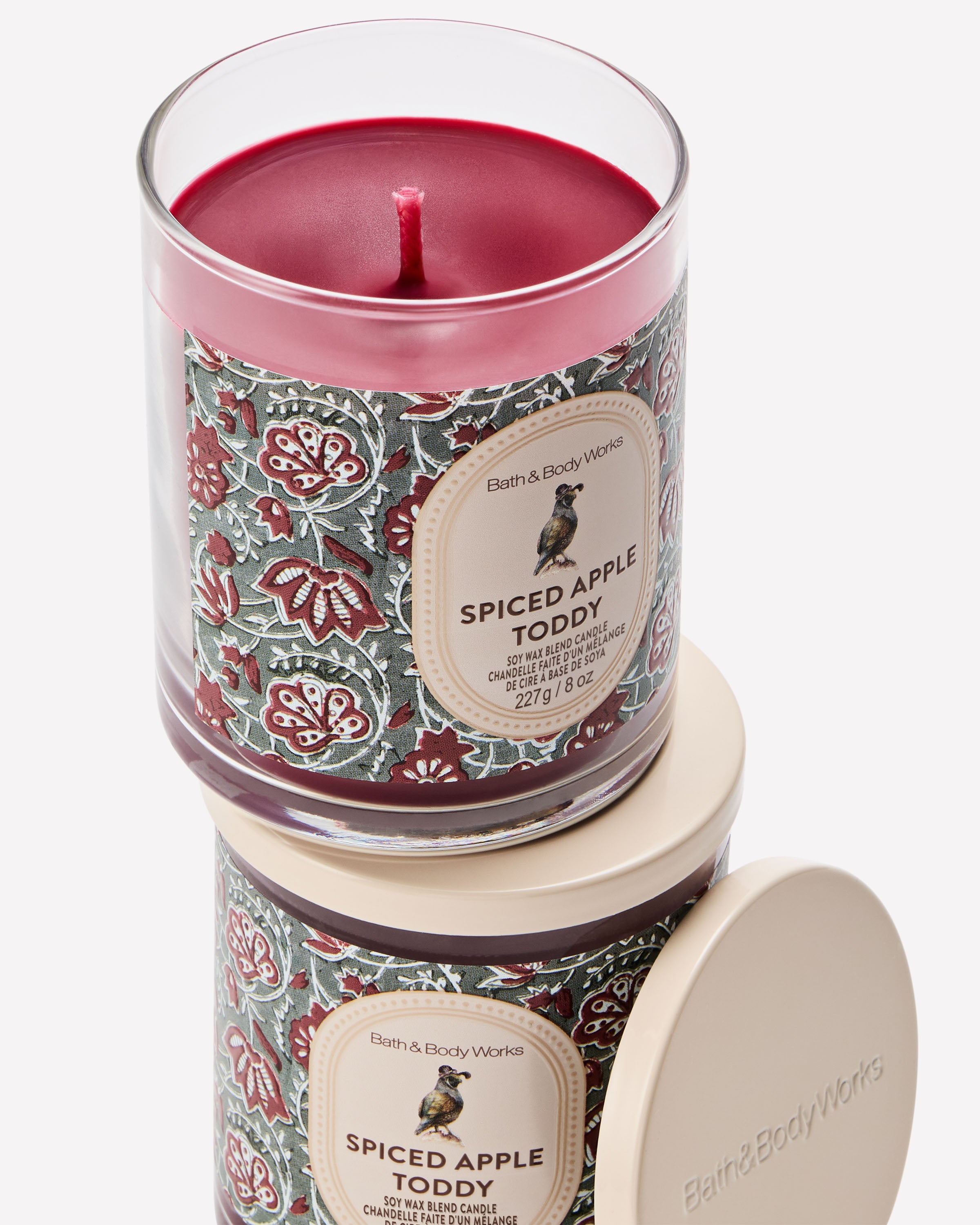 Chandelle à une mèche Spiced Apple Toddy