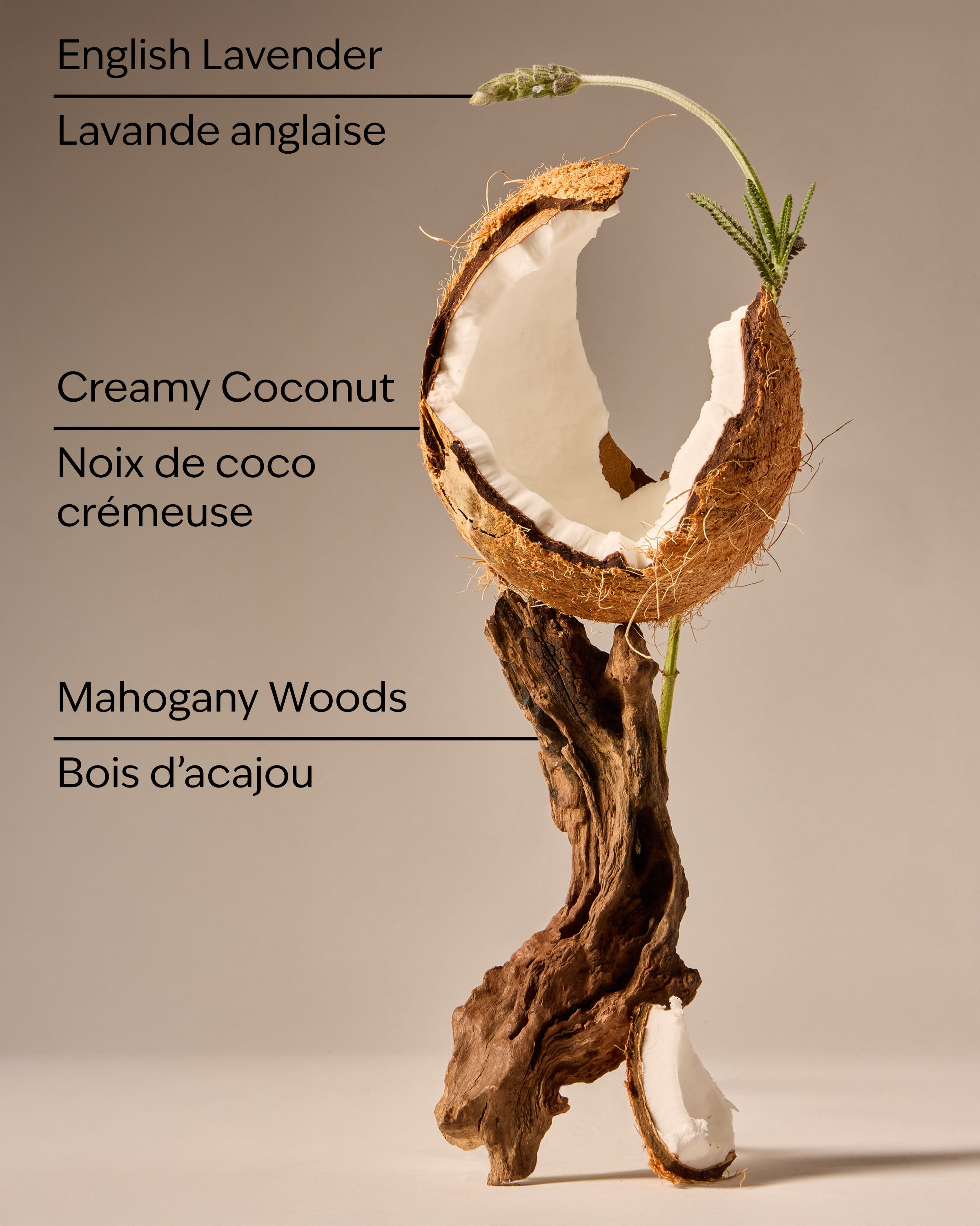 Mahogany Coconut Wallflowers Fragrance Refill