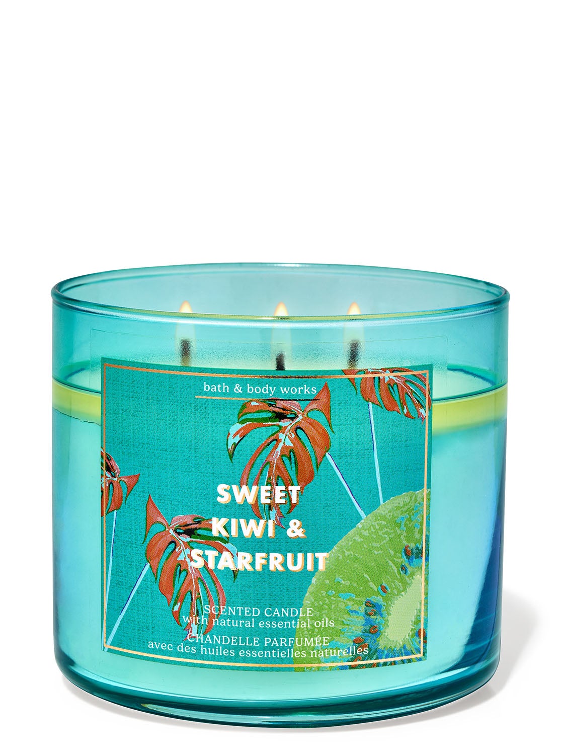 Sweet Kiwi & Star Fruit 3-Wick Candle