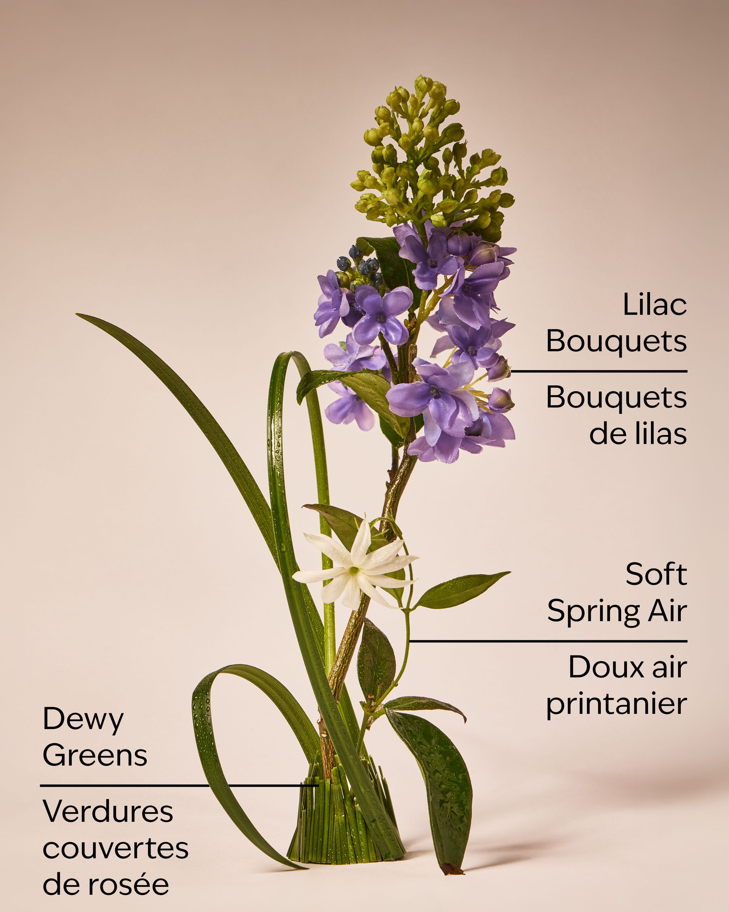 Fresh Cut Lilacs Wallflowers Fragrance Refill