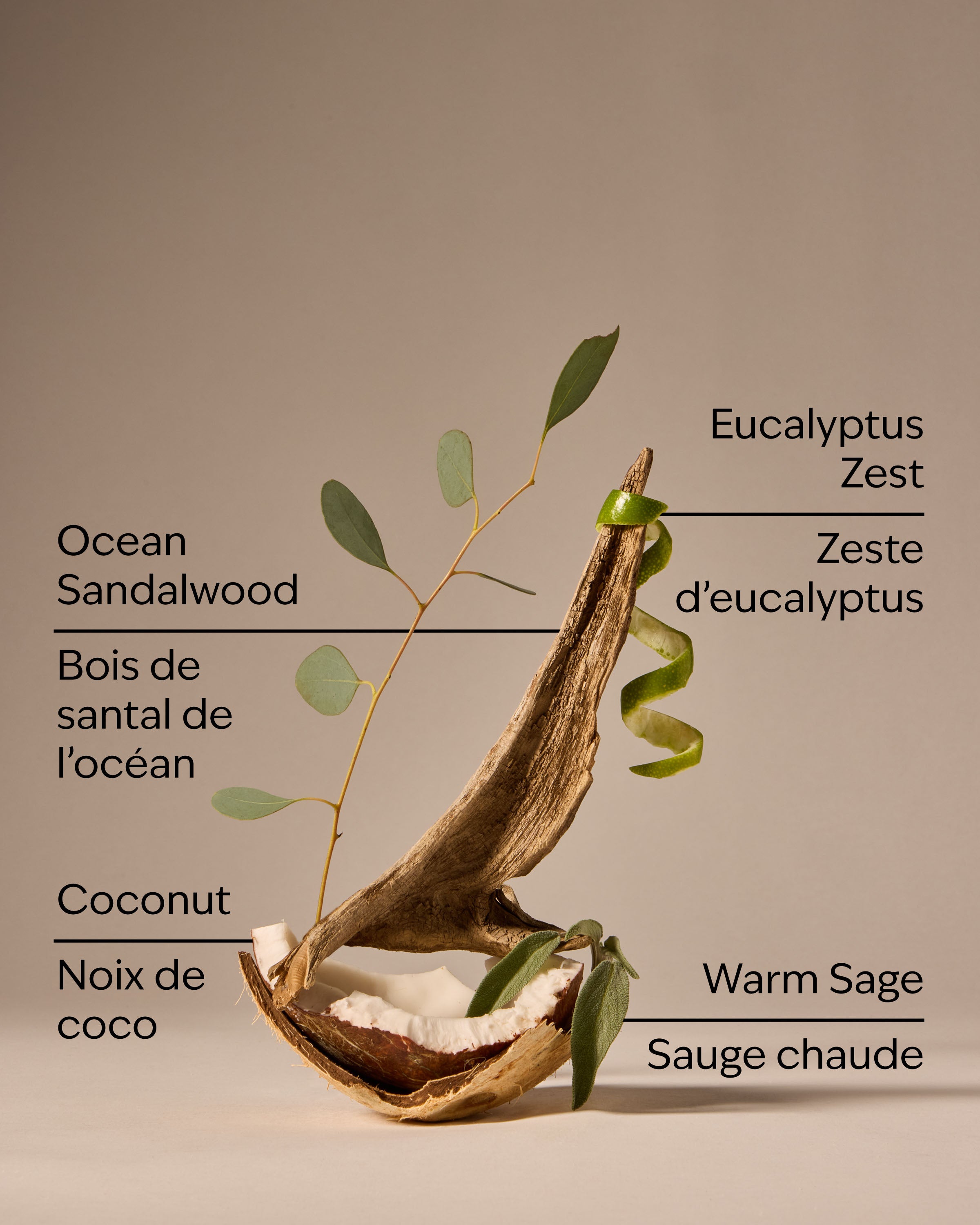 Warm Ocean Breeze 3-Wick Candle