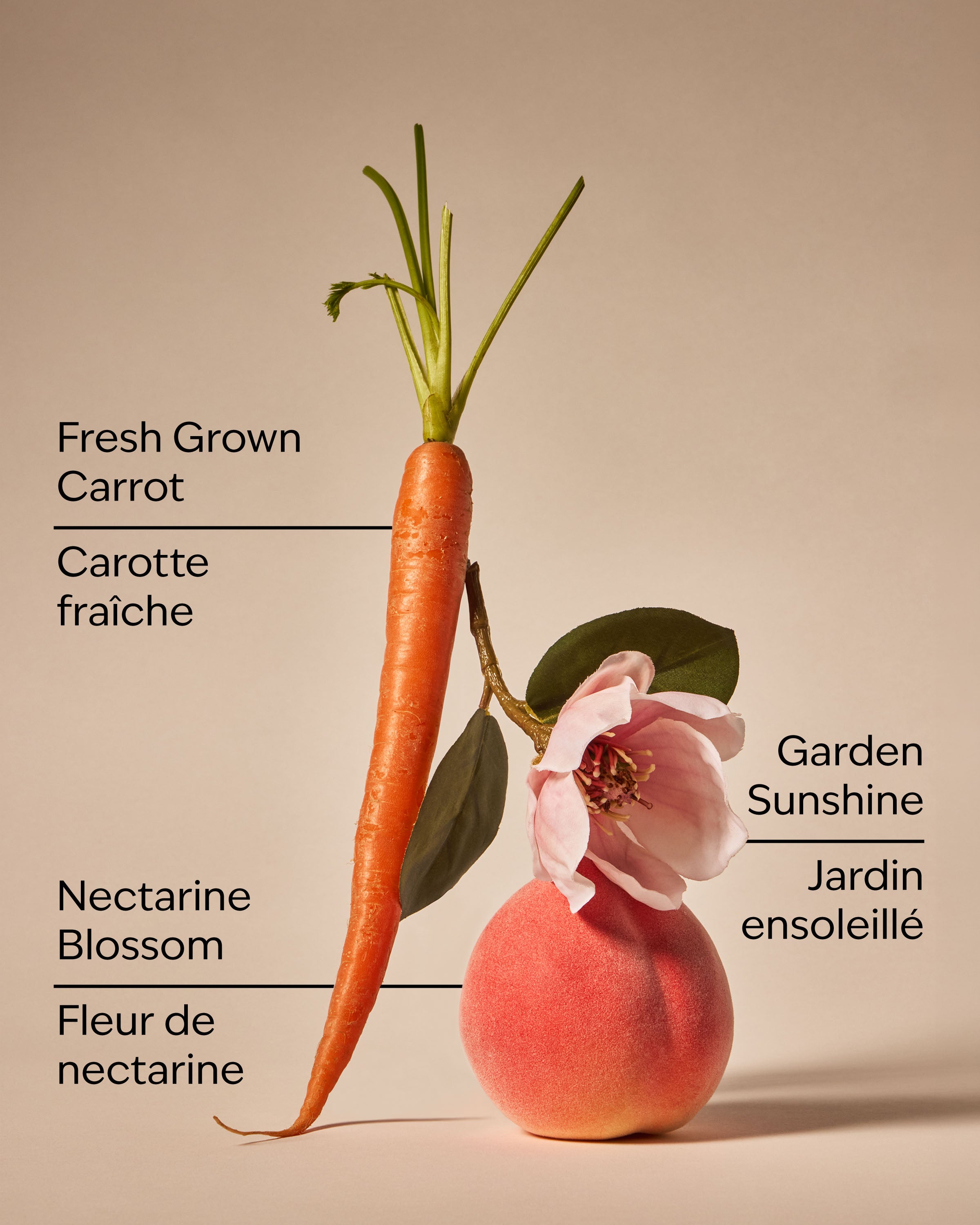 Carrot & Nectarine 3-Wick Candle